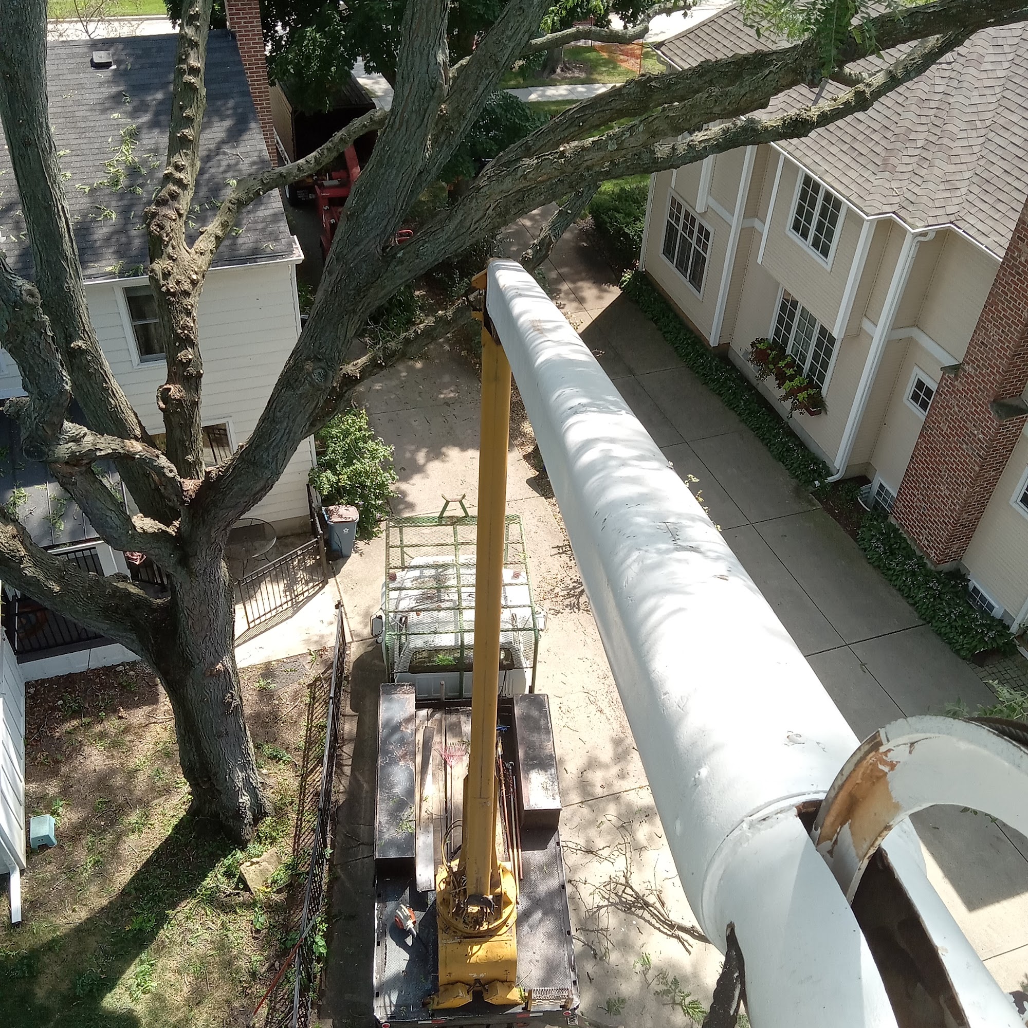Mark's Tree Service