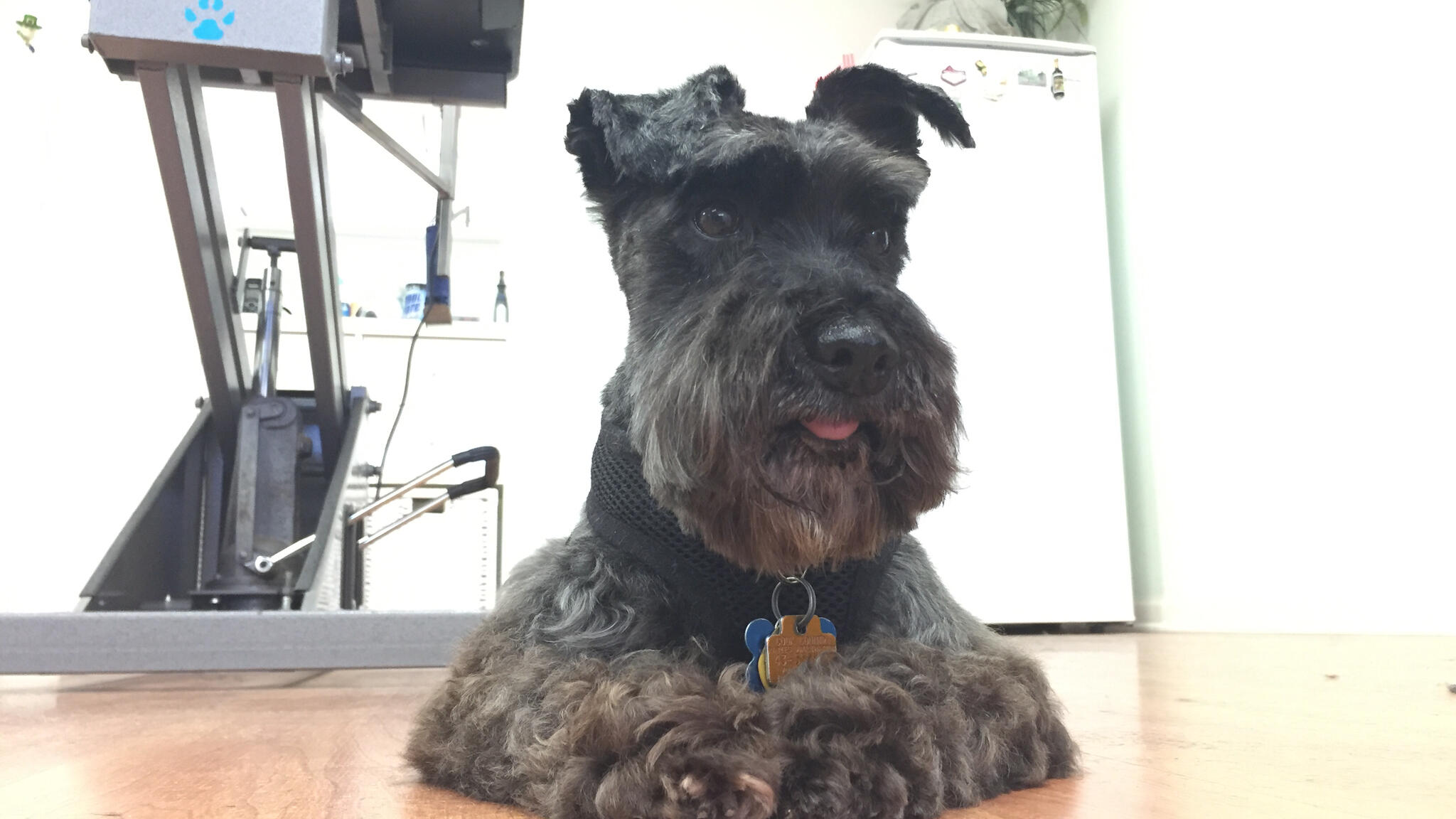 Photo credit: nextdoor