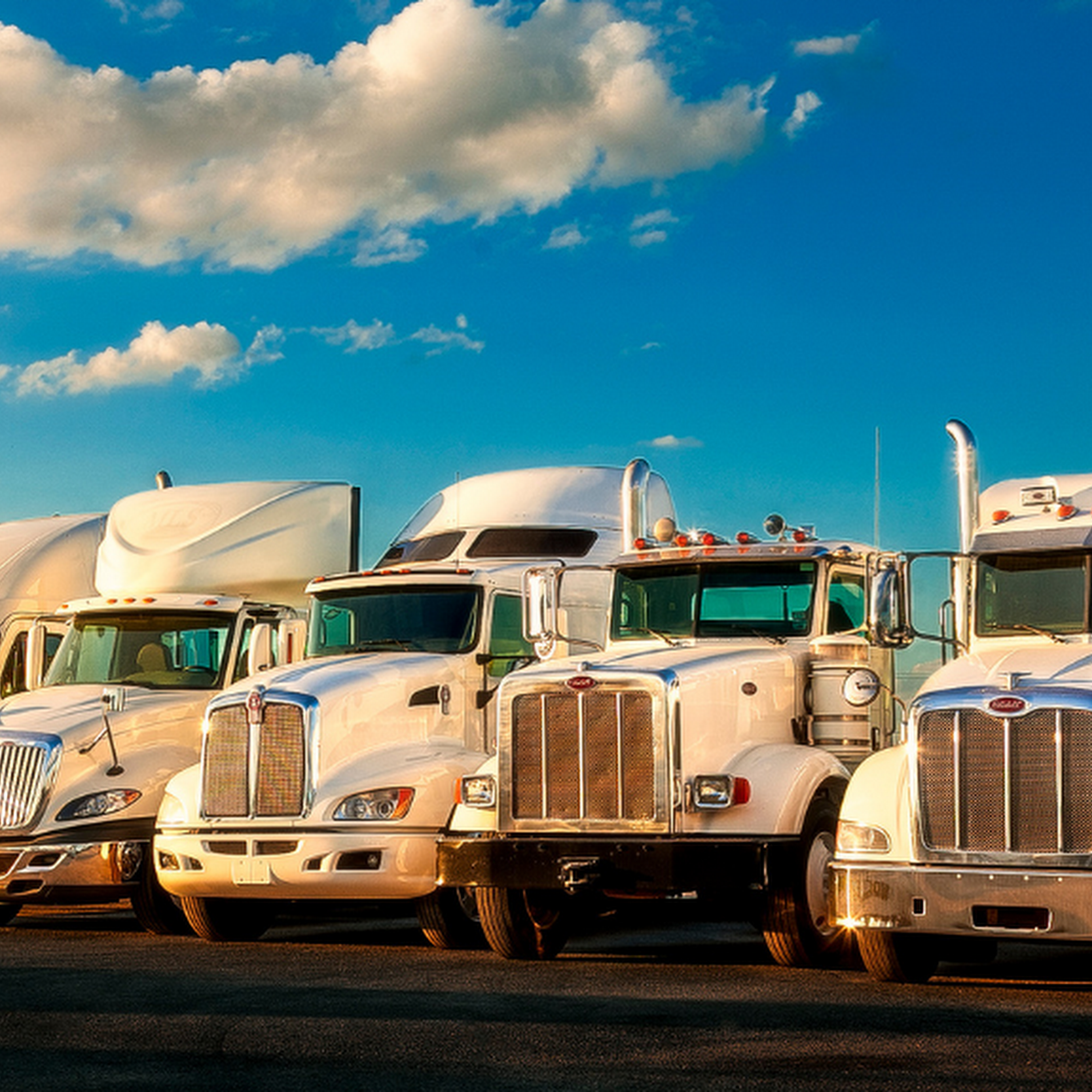 The House of Trucks - Chicago Willowbrook