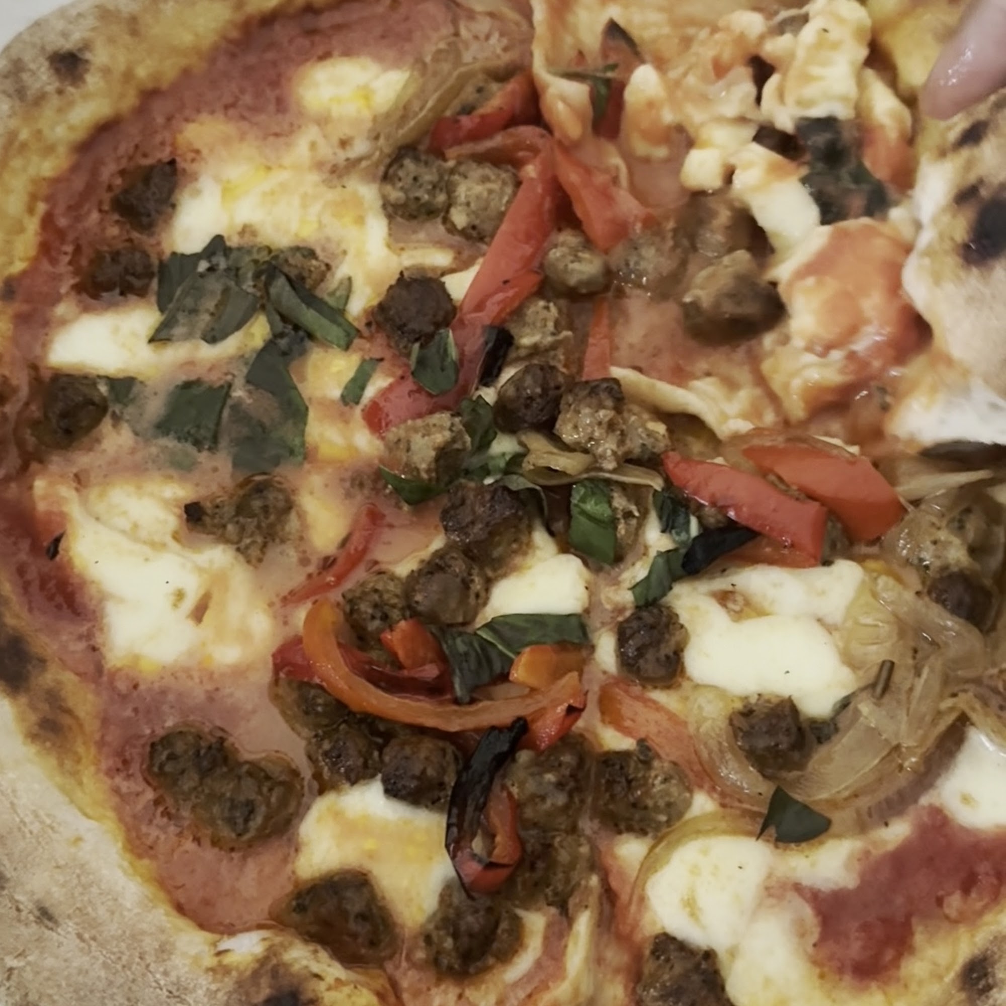 Napolita Pizzeria & Wine Bar, Wilmette Wilmette