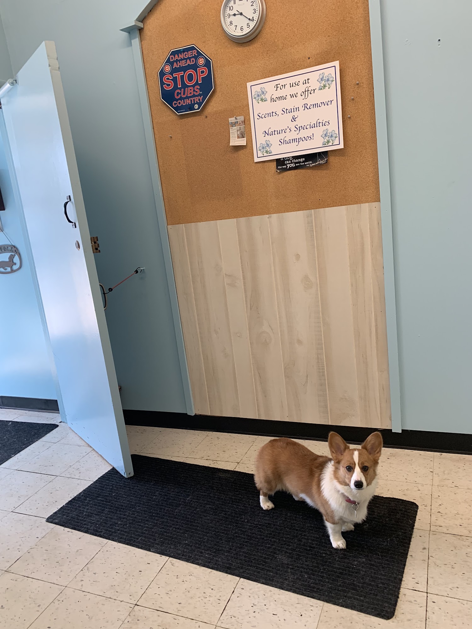 The Buff Pup Wilmette