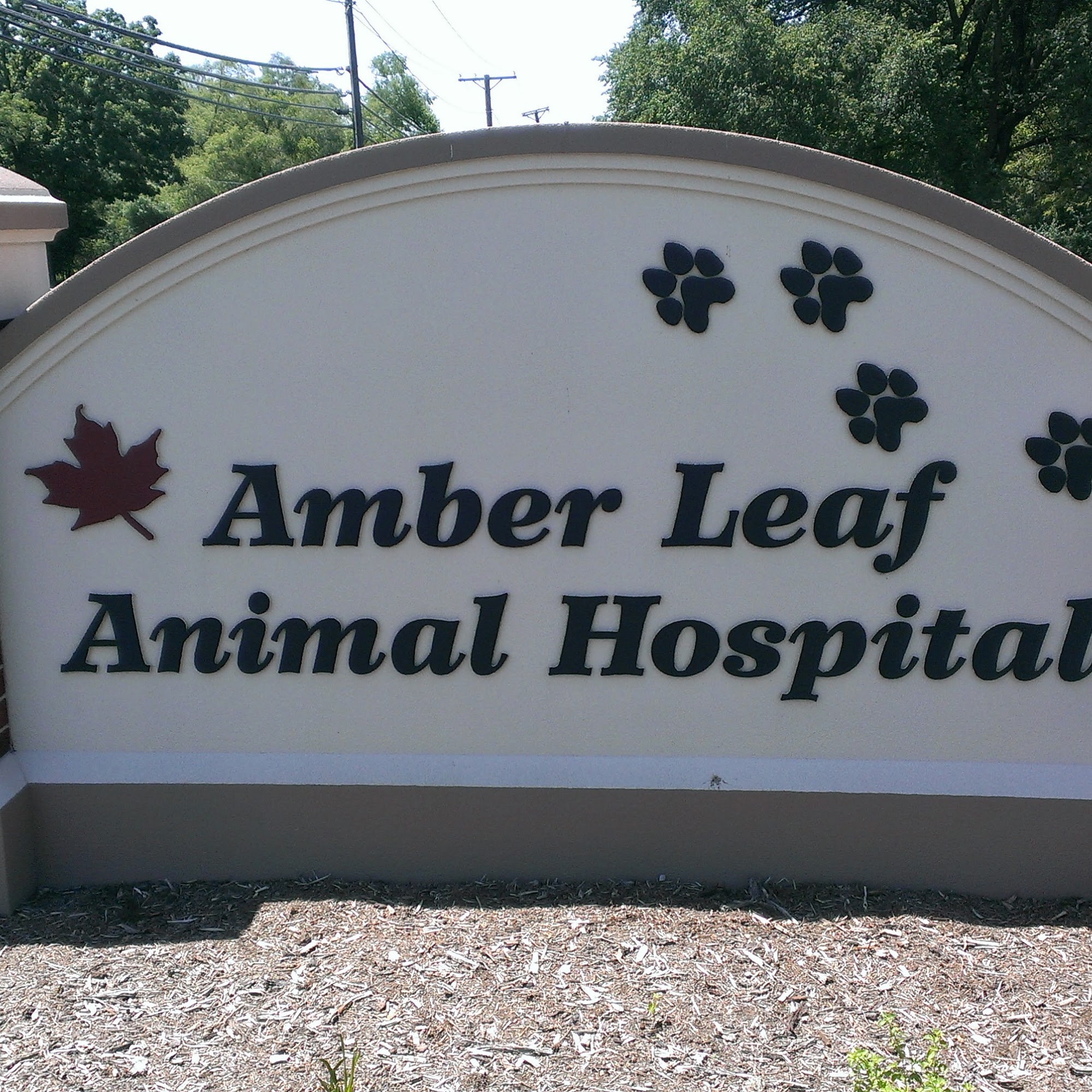 Amber Leaf Animal Hospital Winfield