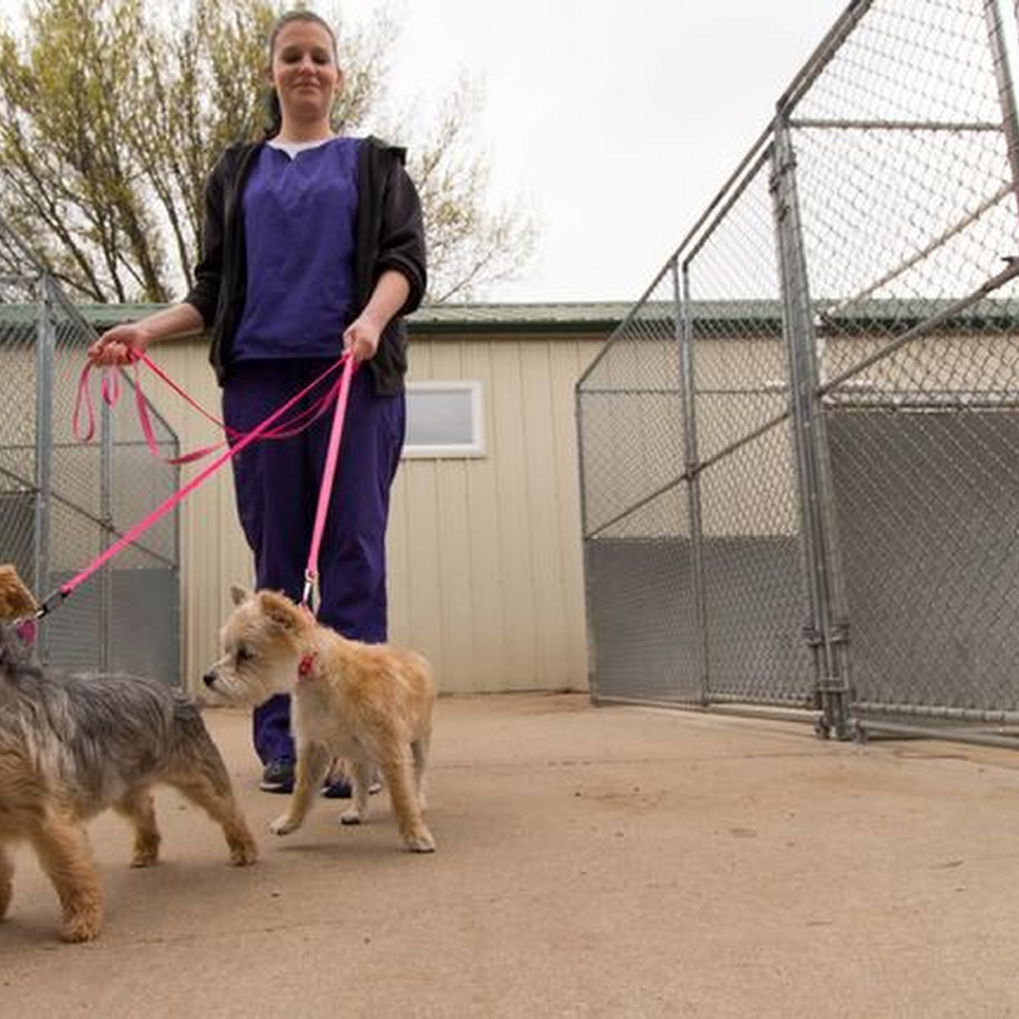 Winnebago Animal Clinic Winnebago