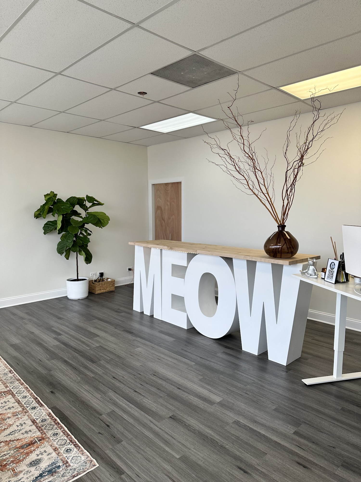 MeoWoof Kittens & Puppies Wood Dale