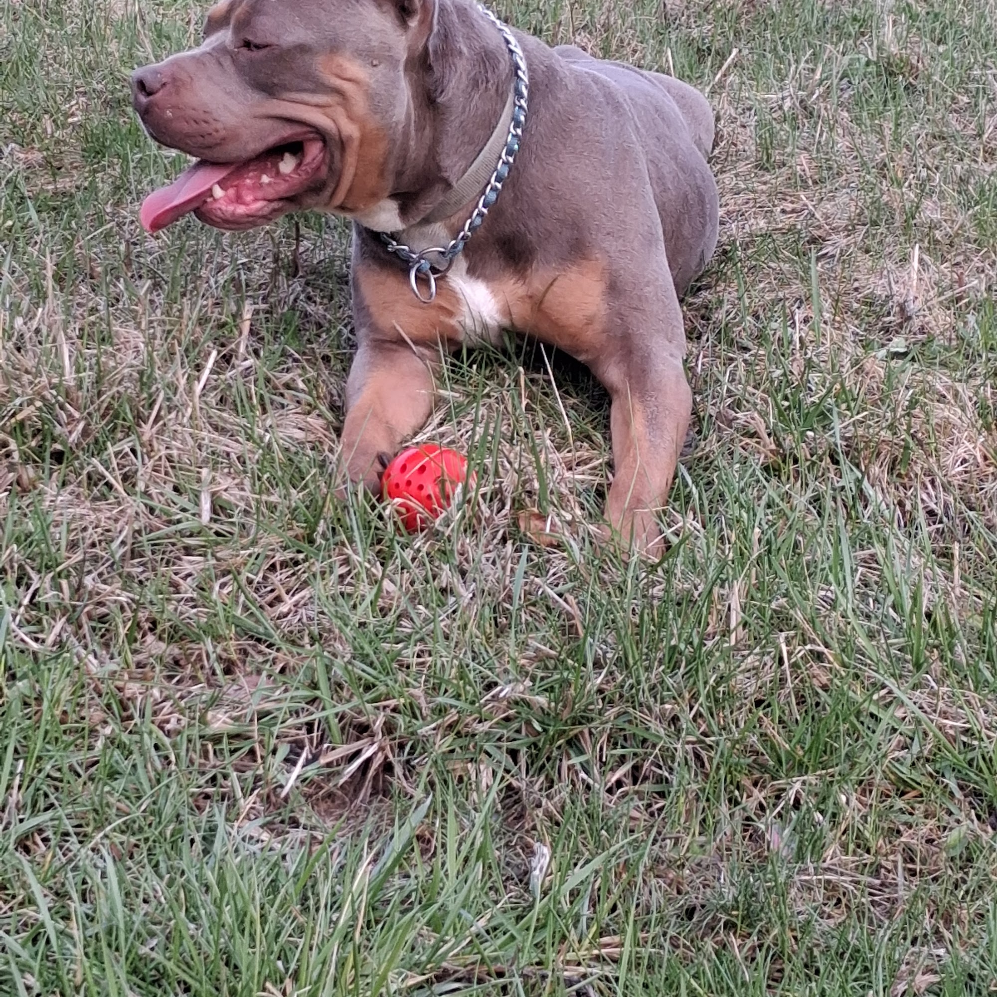 Five Below Wood River