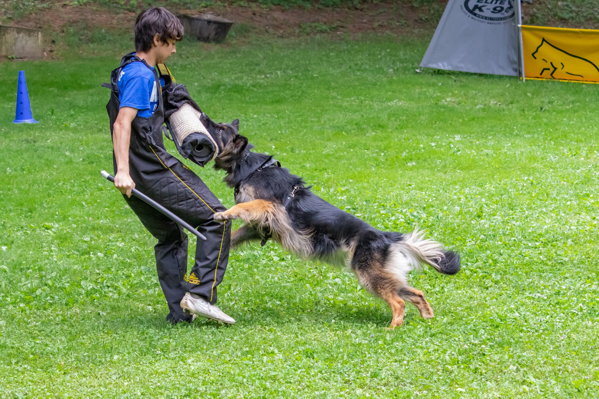 K9 Guidance Woodstock