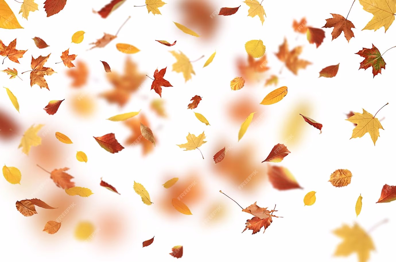 Creasy Exteriors, Inc.