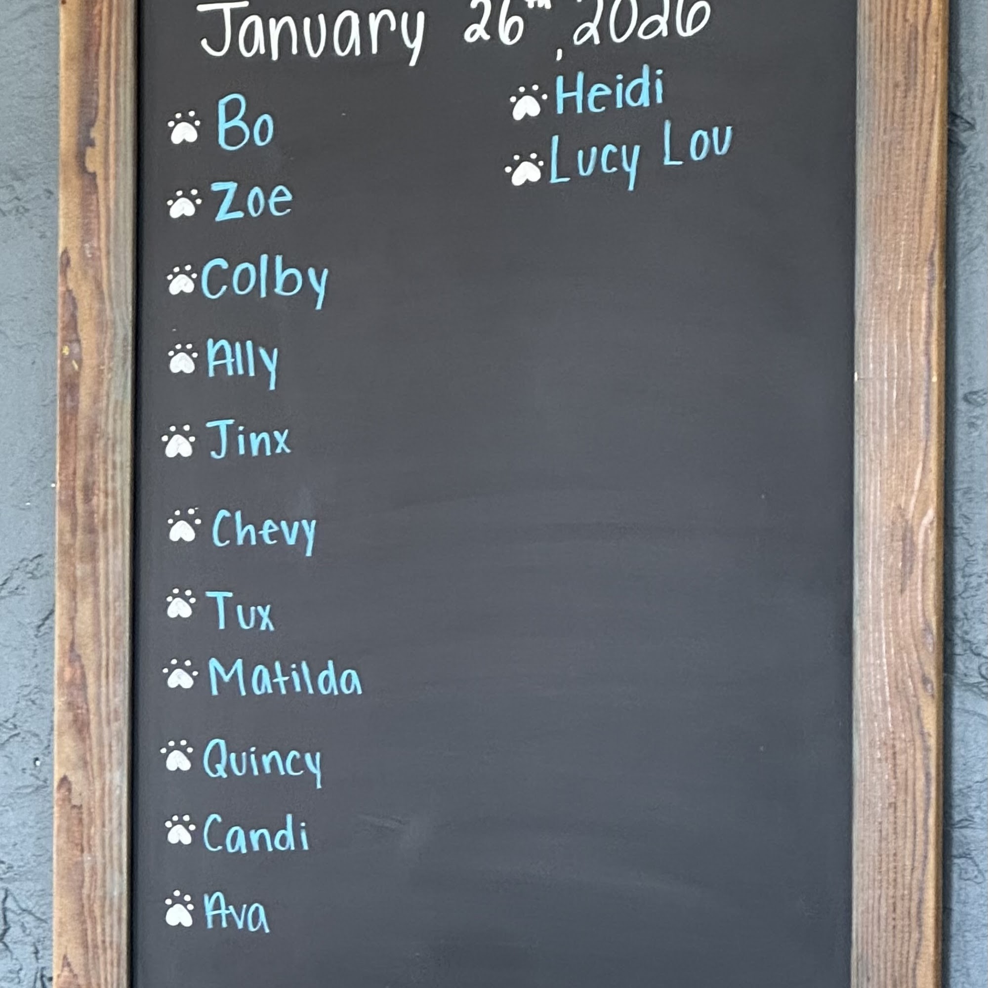 Countryside Veterinary Clinic Yorkville