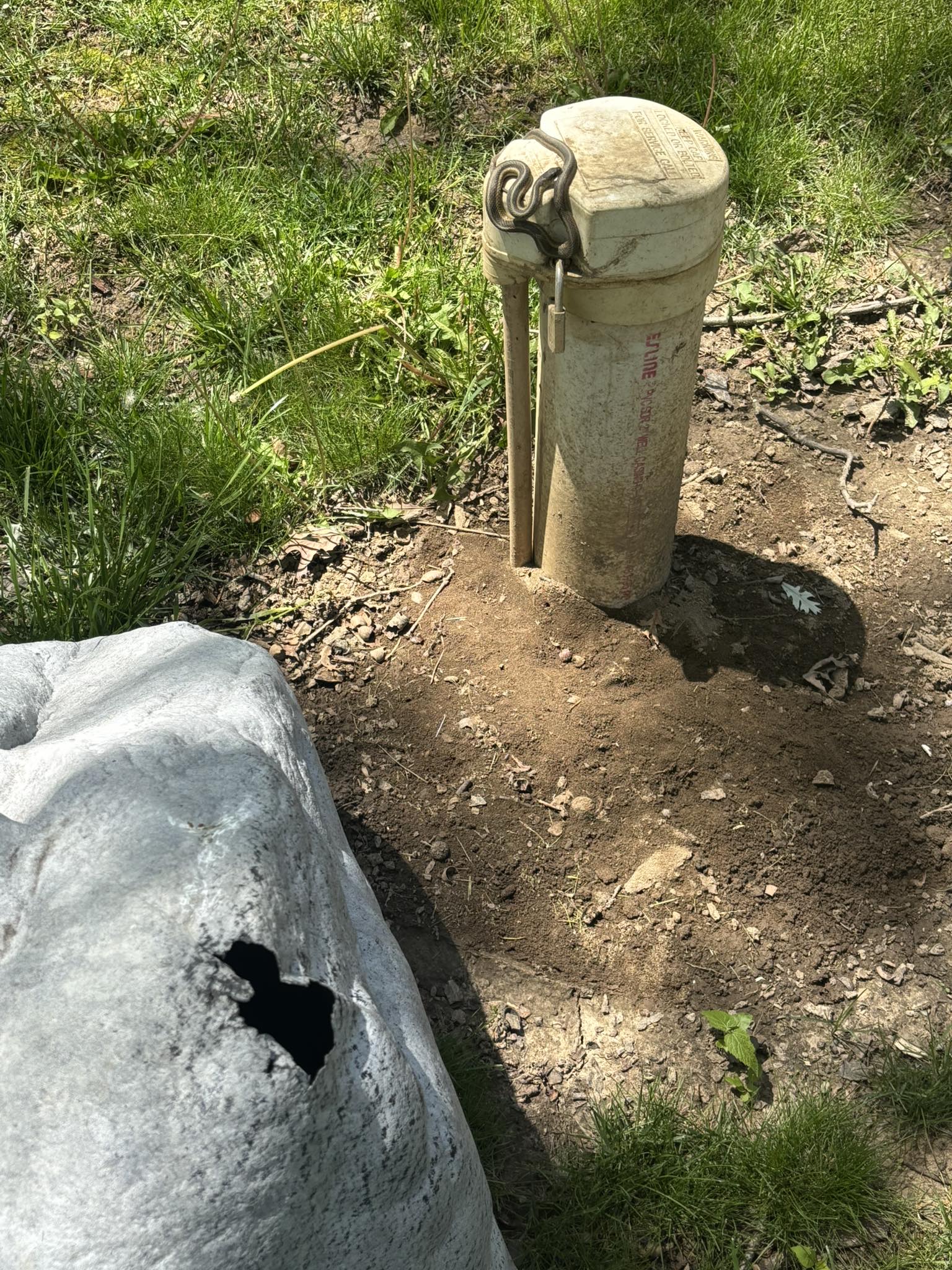 Lovelace Property Inspection