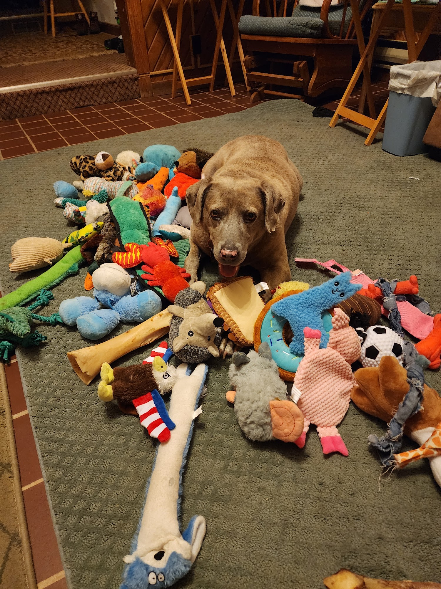 Pokagon Veterinary Hospital Angola