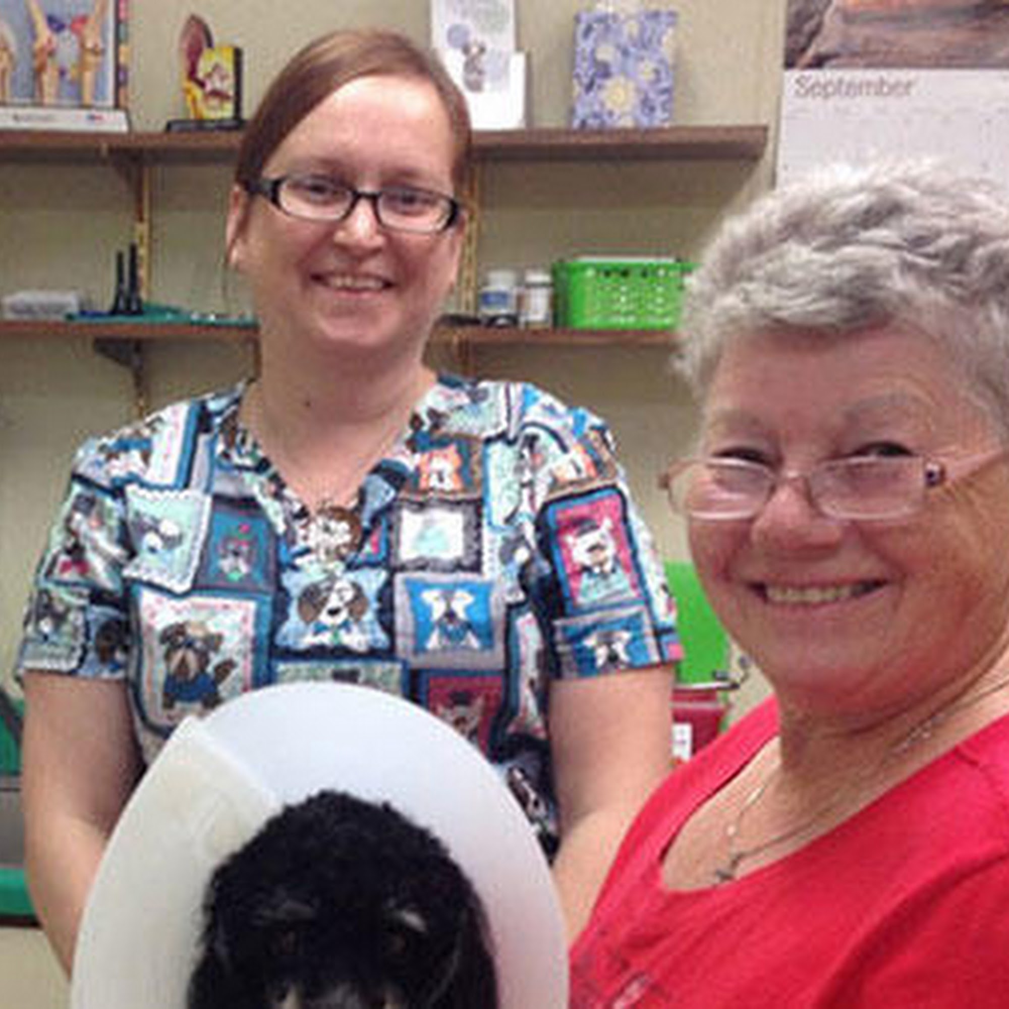 All Paws & Claws Veterinary Clinic Angola