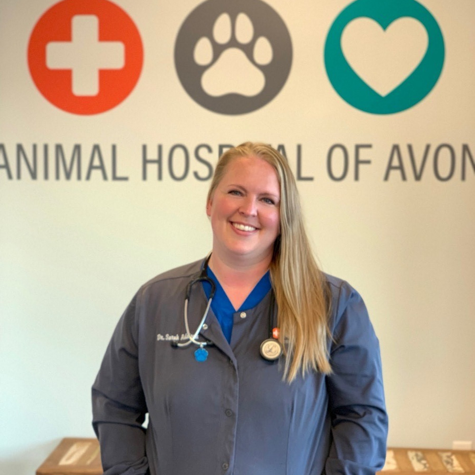 Animal Hospital of Avon Avon