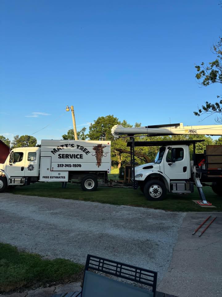 Matt's Tree Service LLC