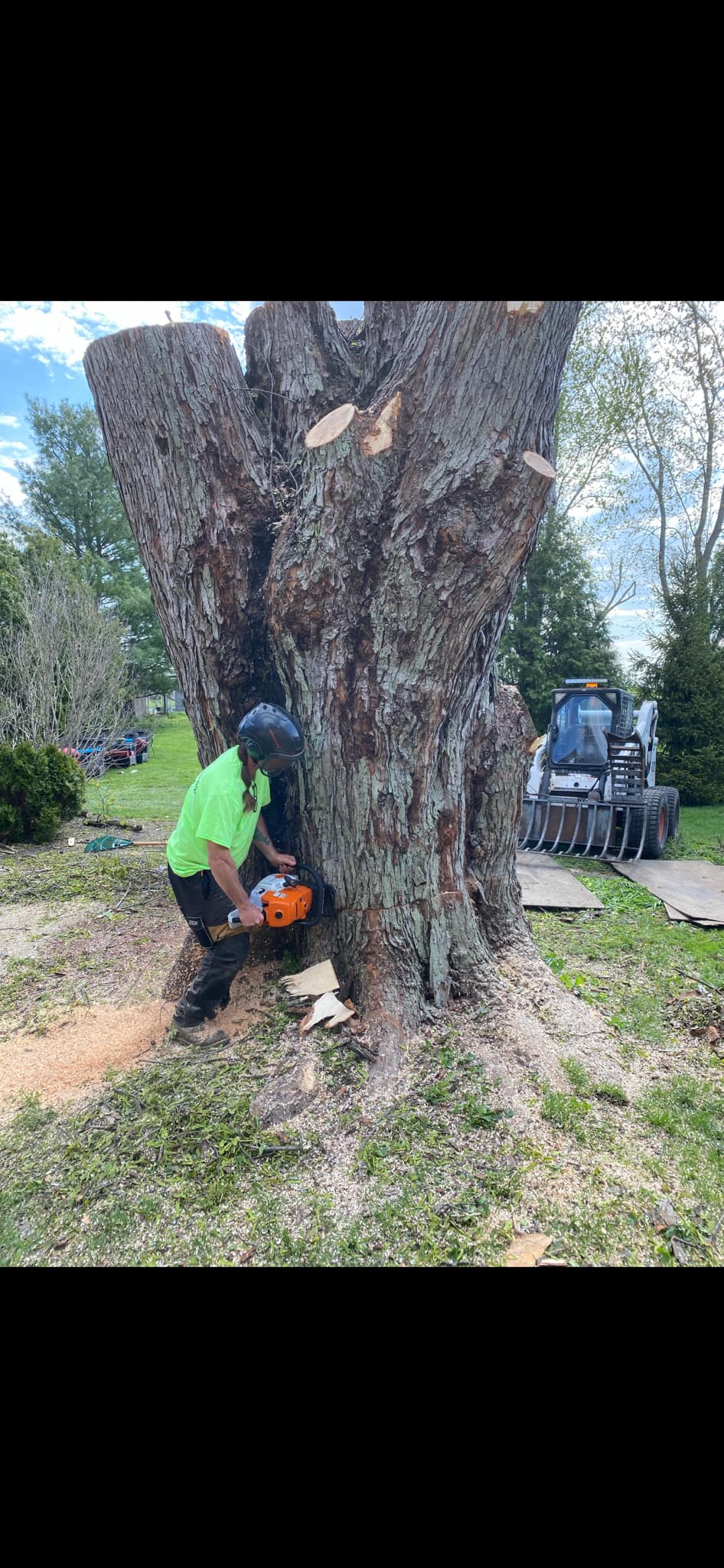 Matt's Tree Service LLC