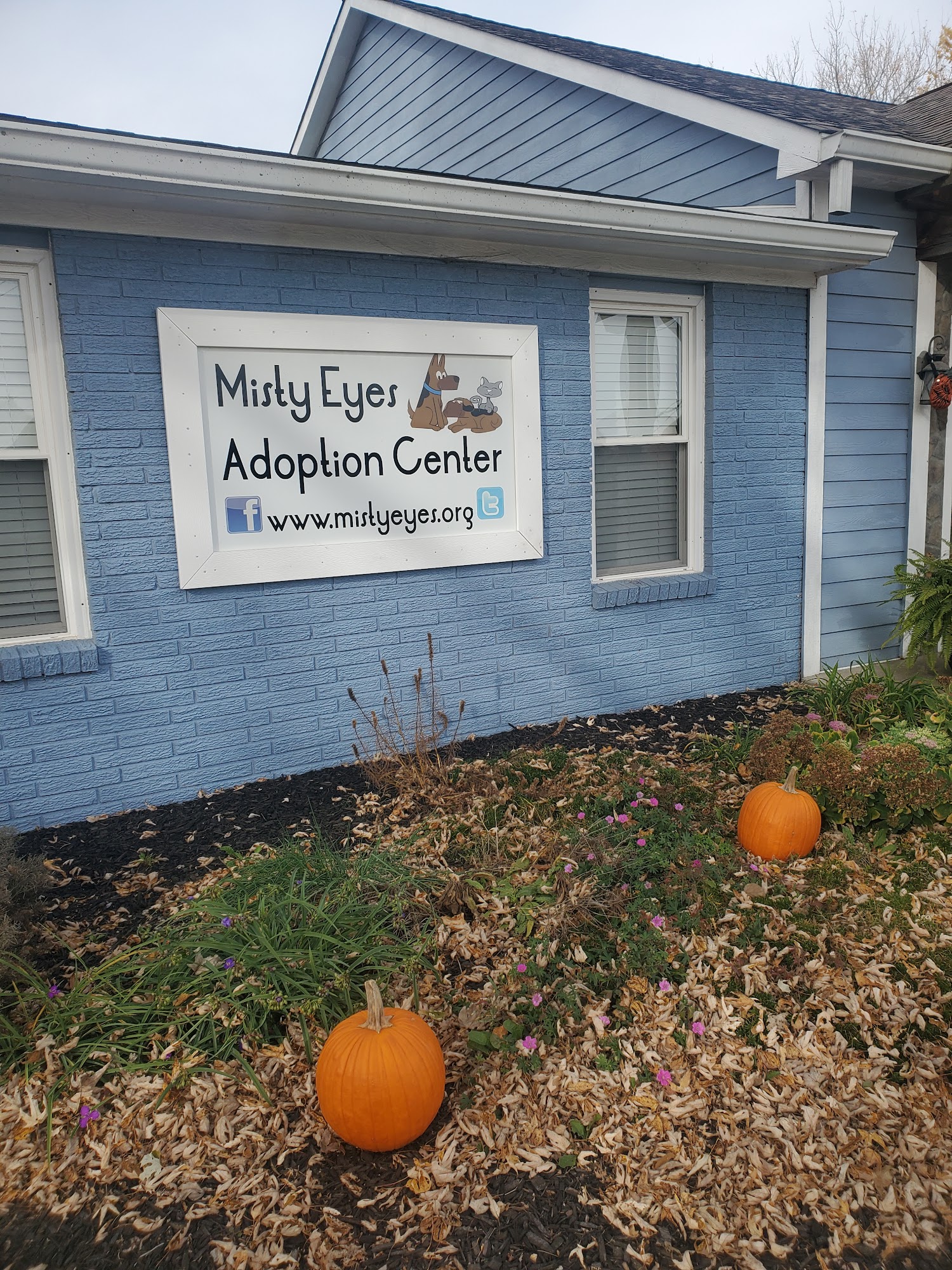 Misty Eyes Animal Center Avon