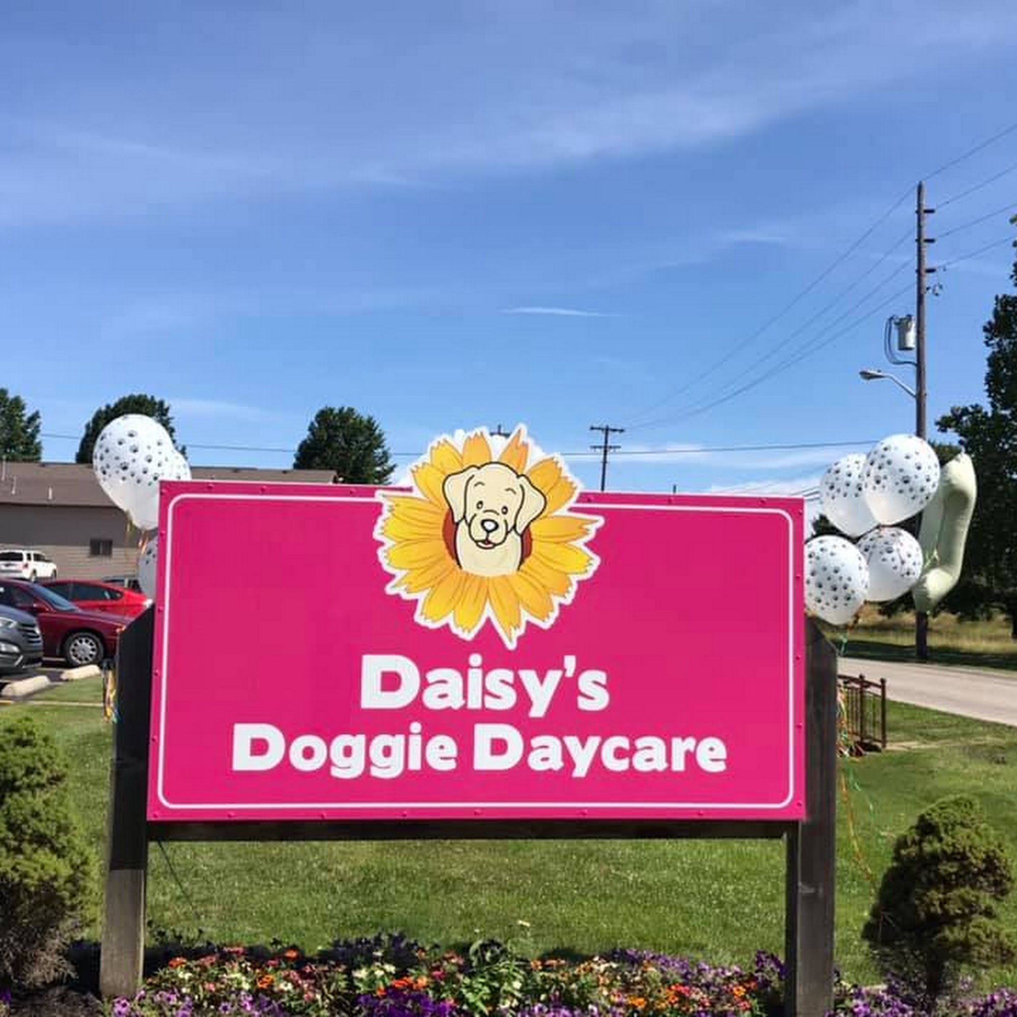 Daisy's Doggie Daycare Batesville