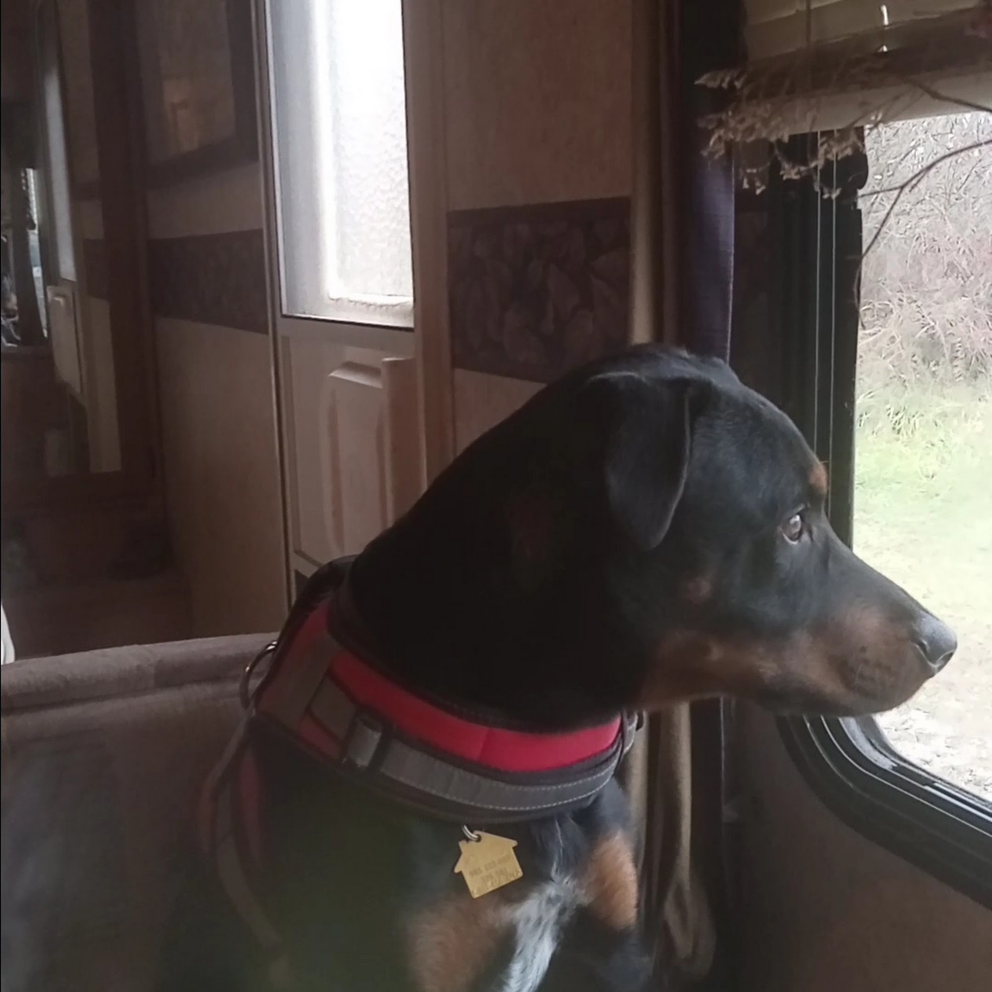 Bedford Veterinary Medical Centre Bedford