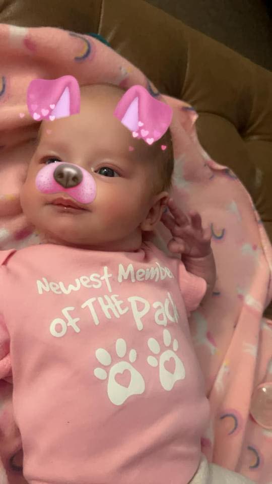 Hoosier Doggie Daycare & Boarding Llc Bedford