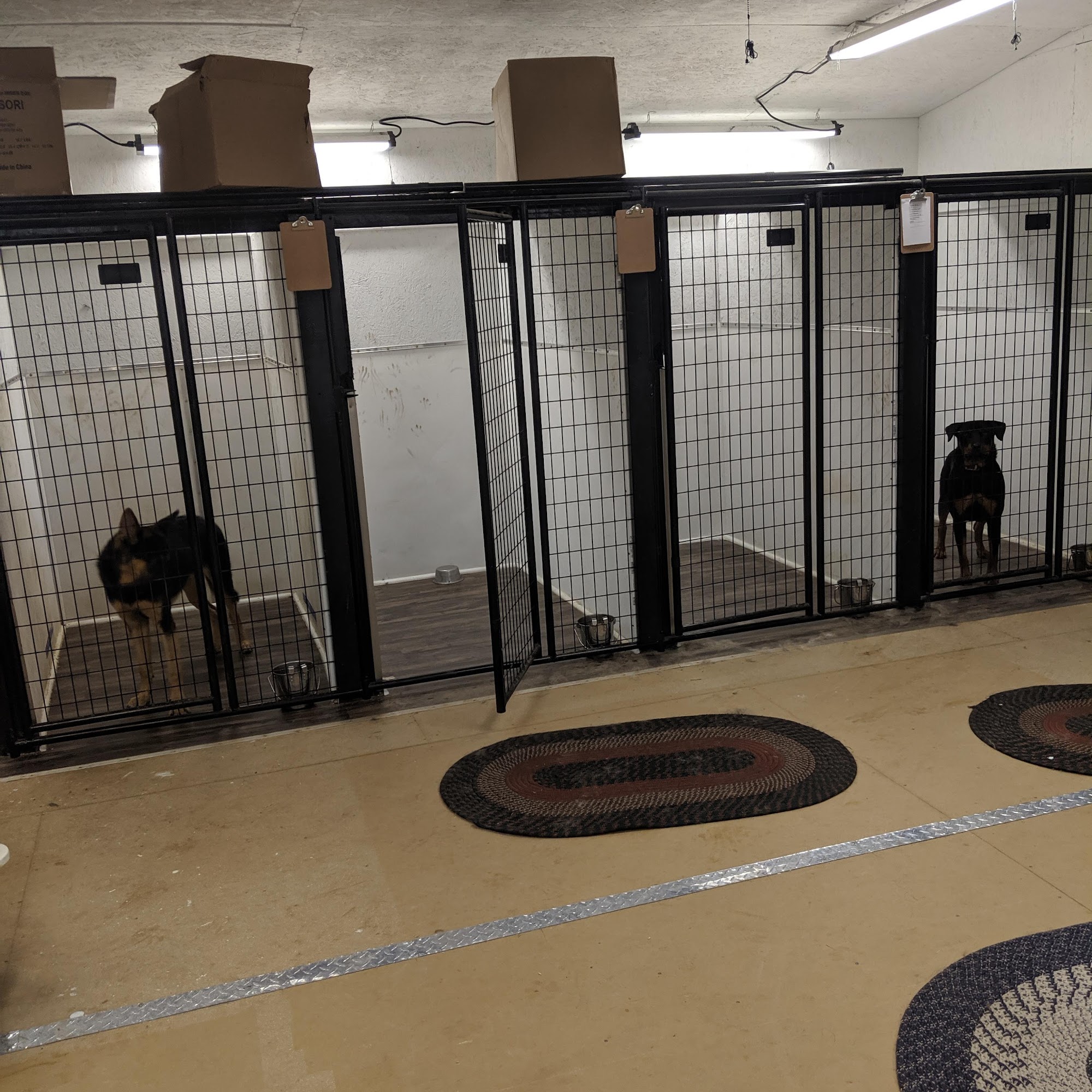 Jolly Dogs Bloomfield