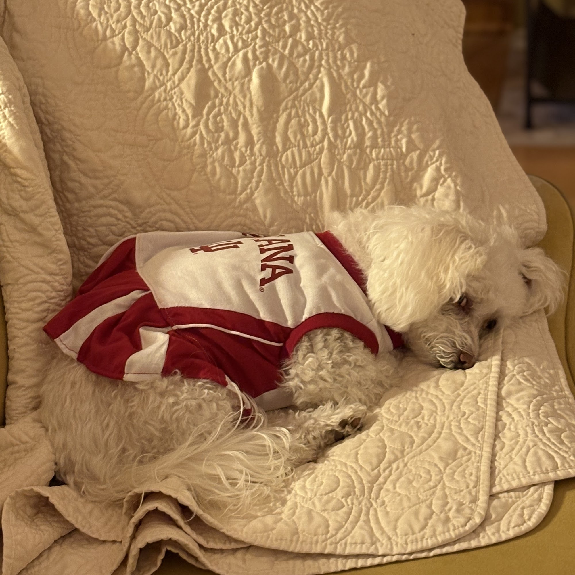 Furry Friends Veterinary Hospital Bloomington