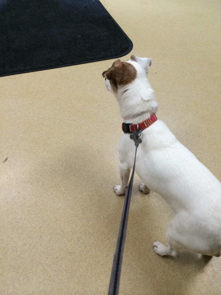 Dr. Robert Miller Bloomington