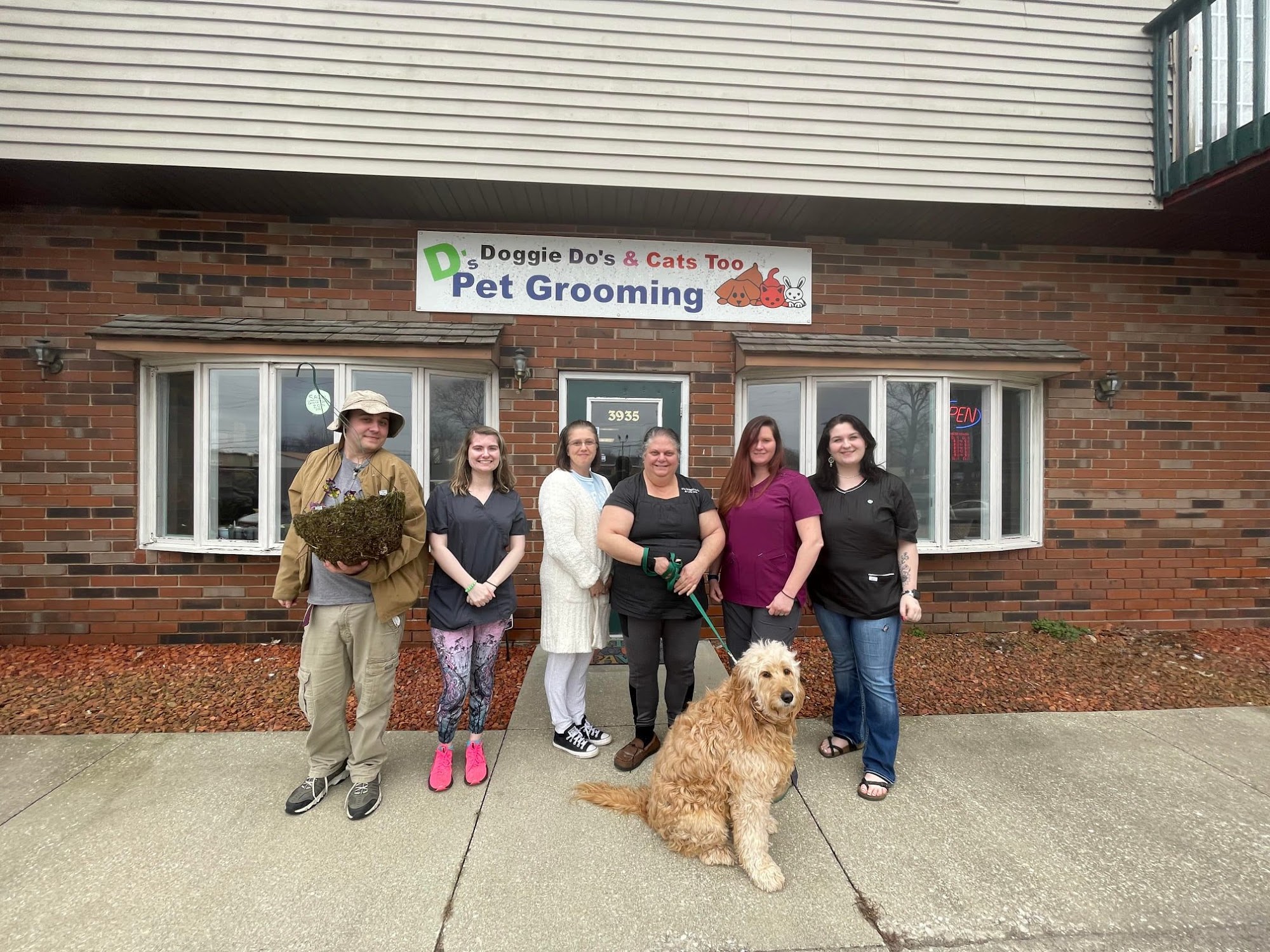 D's Doggie Do's & Cats Too Bloomington