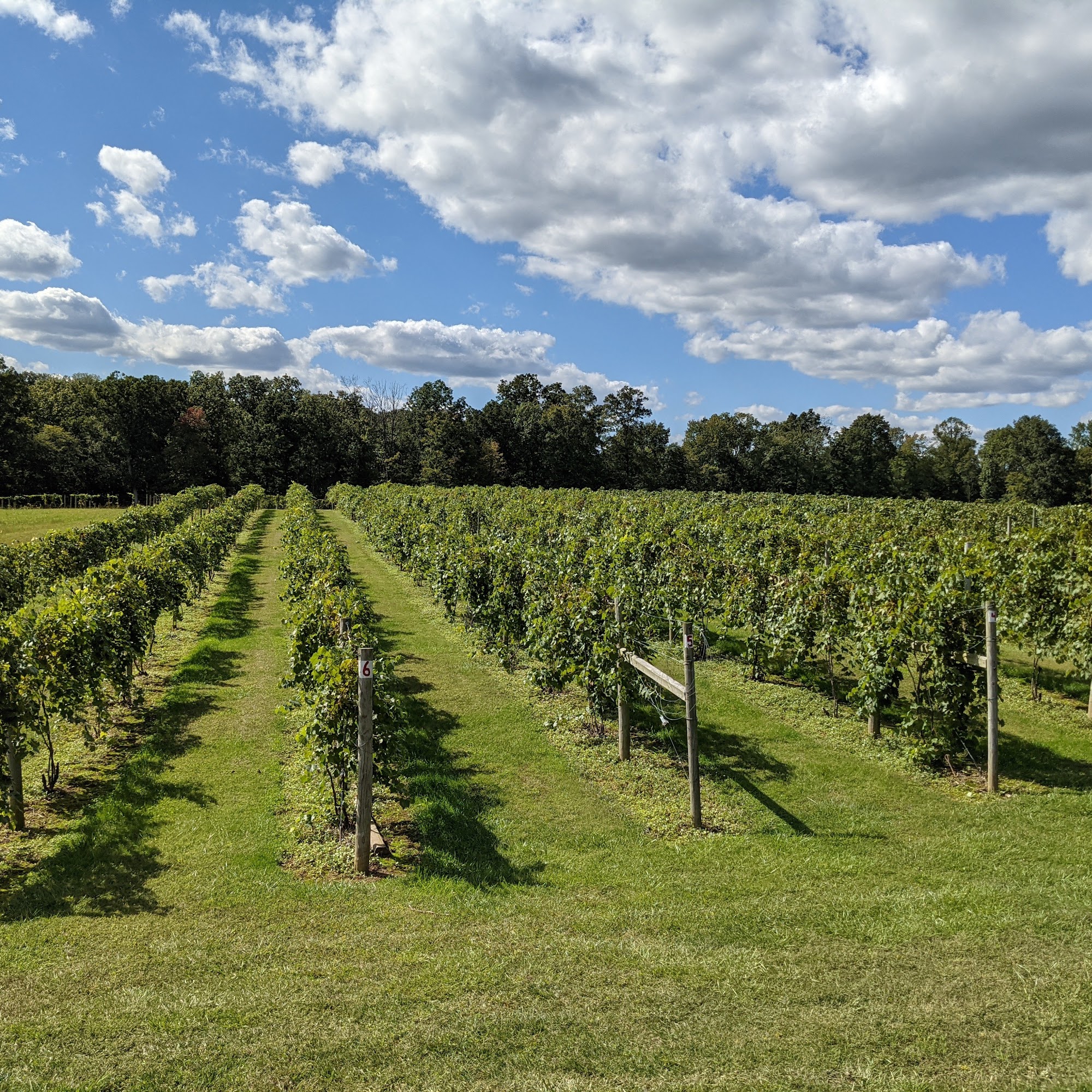 Butler Winery and Vineyards Bloomington