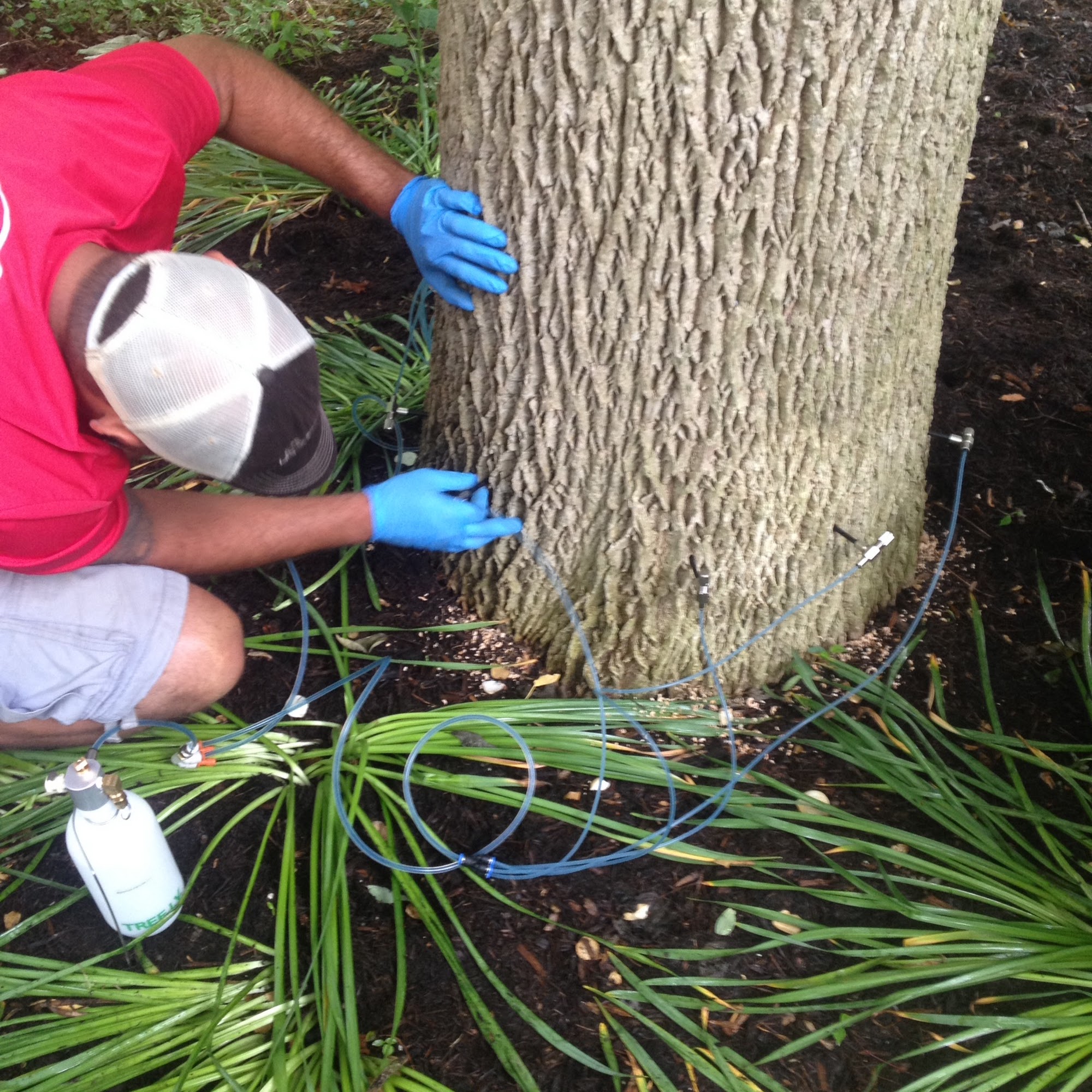 GreenScapers, LLC
