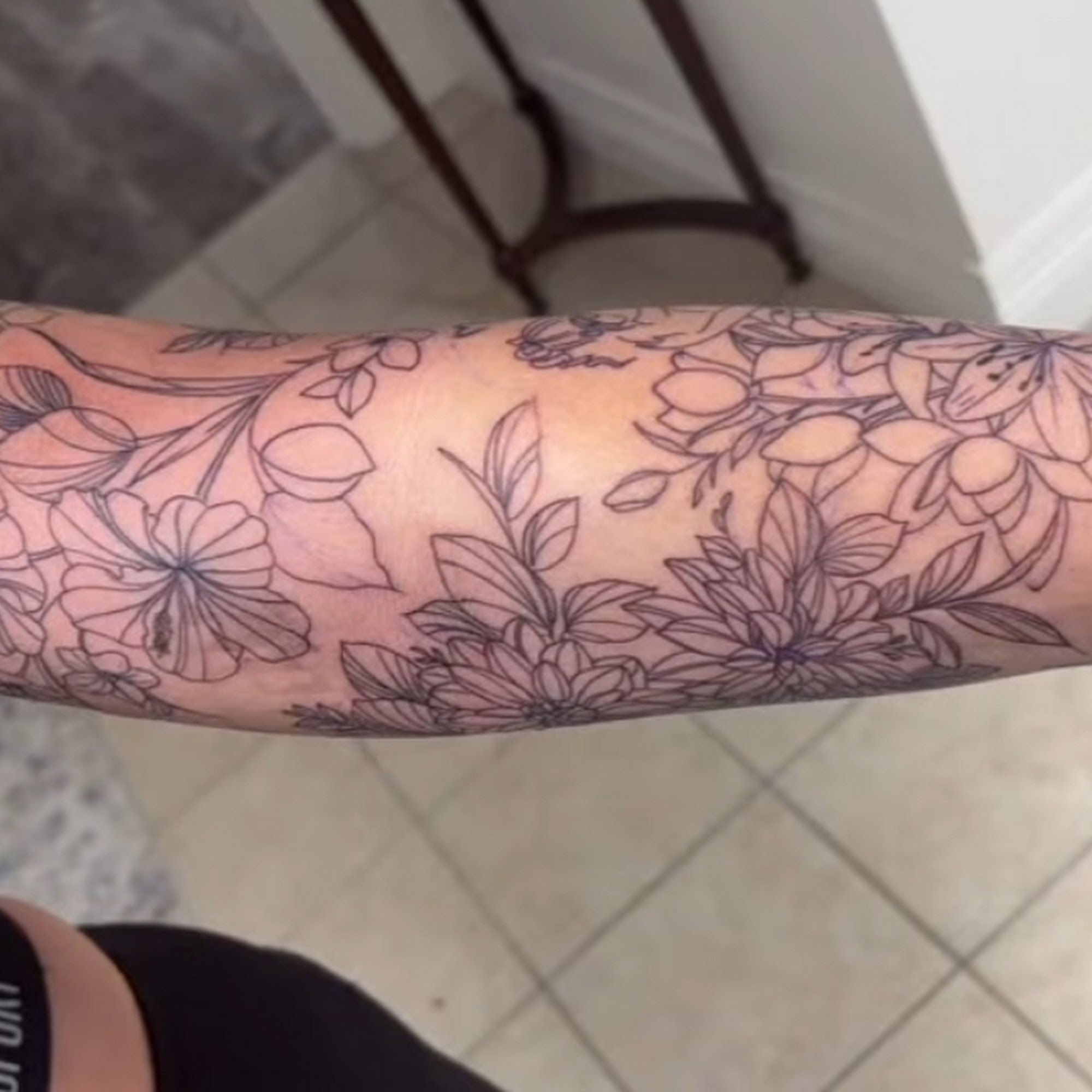 Son of Eden 1025 S Walnut St, Bloomington Indiana 47401