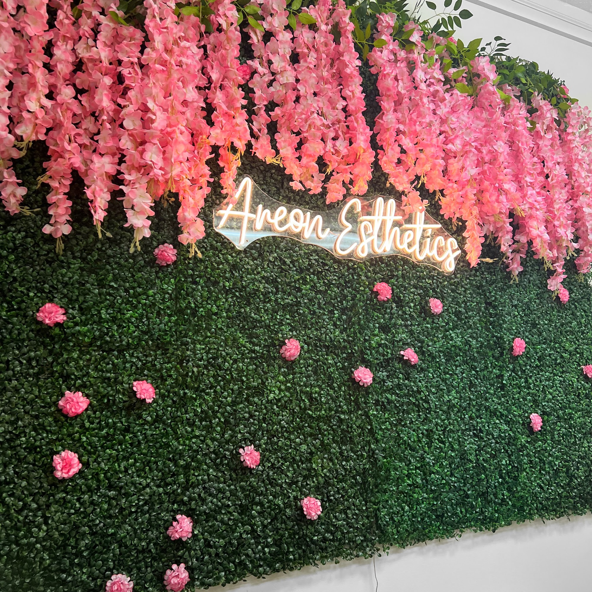 Areon Esthetics