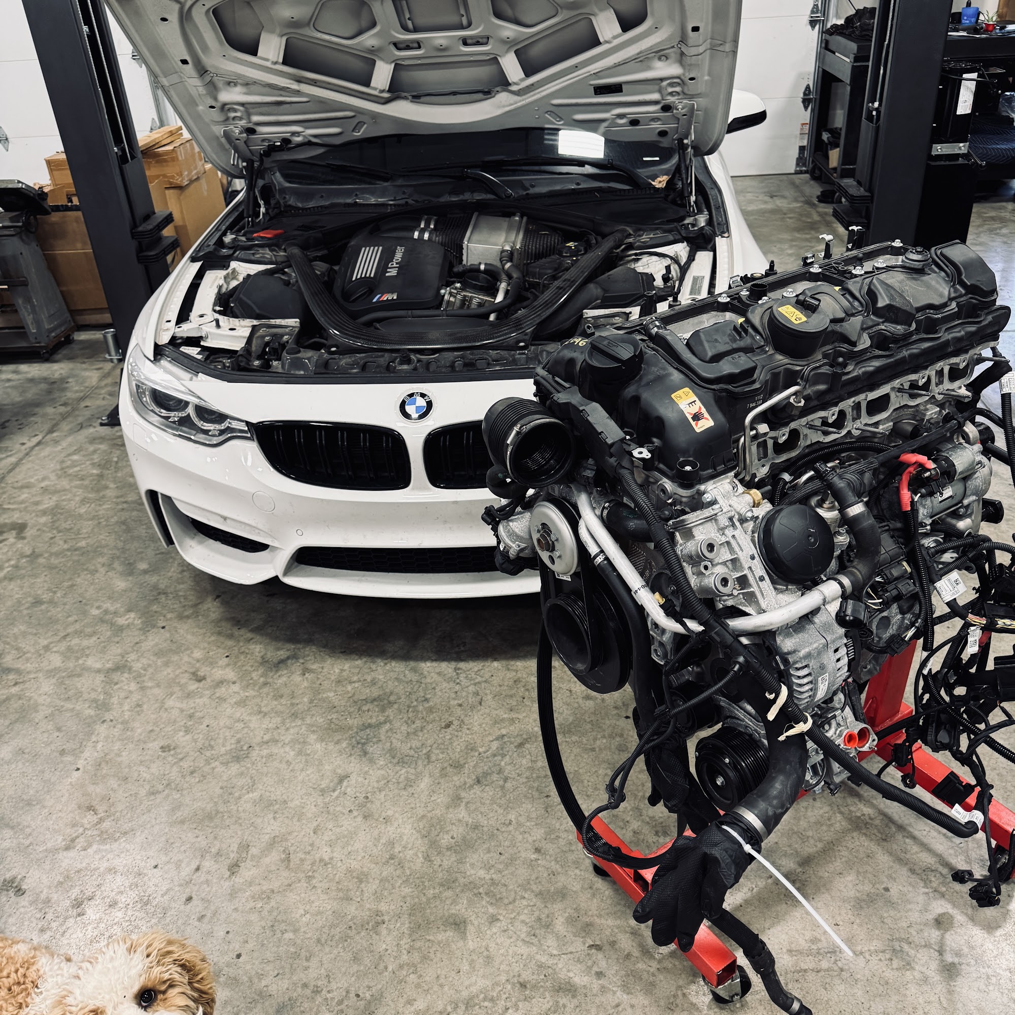 TDR Performance Garage Bloomington
