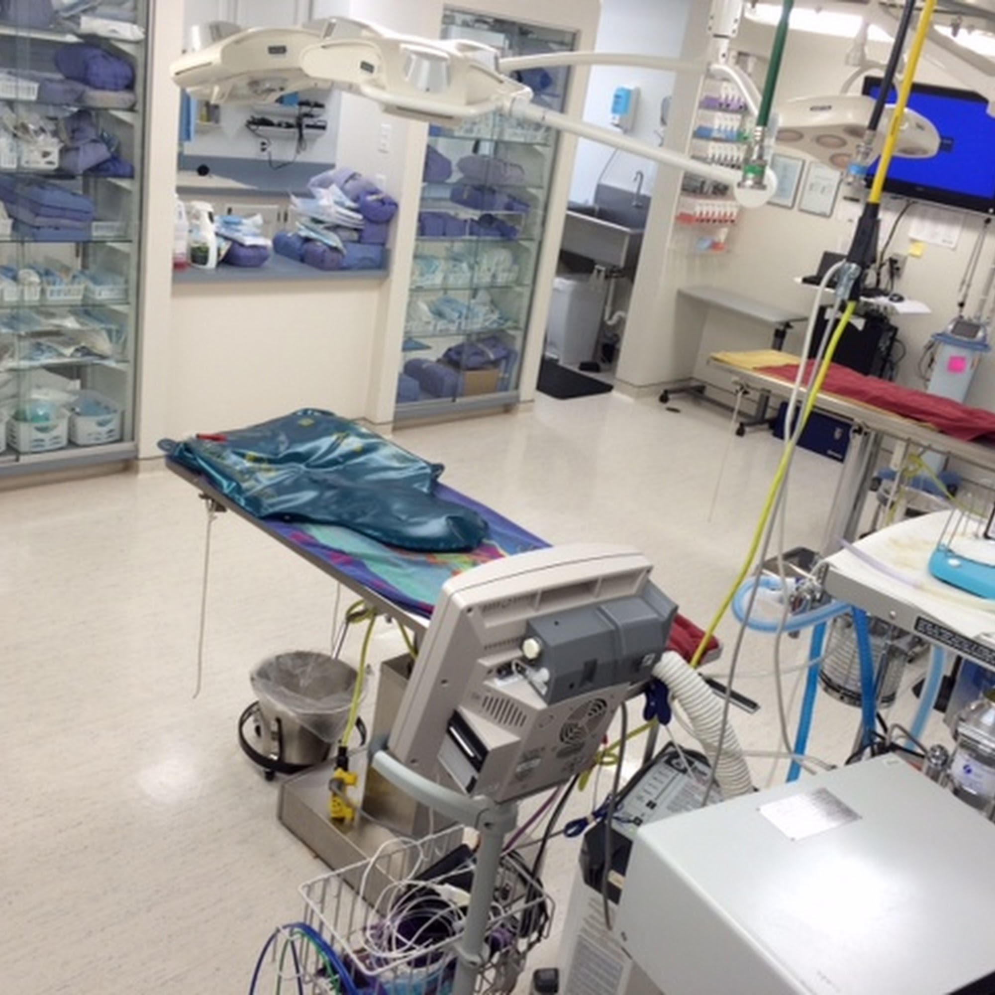 East Pines Animal Clinic Boonville