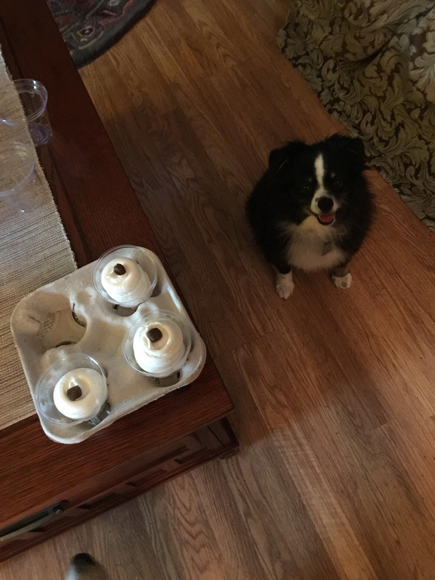 Photo credit: nextdoor