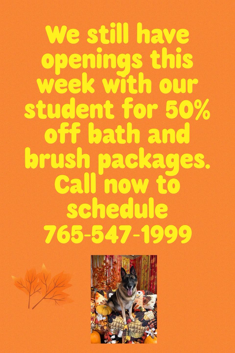 Grooming Girls Pet Salon Brookville