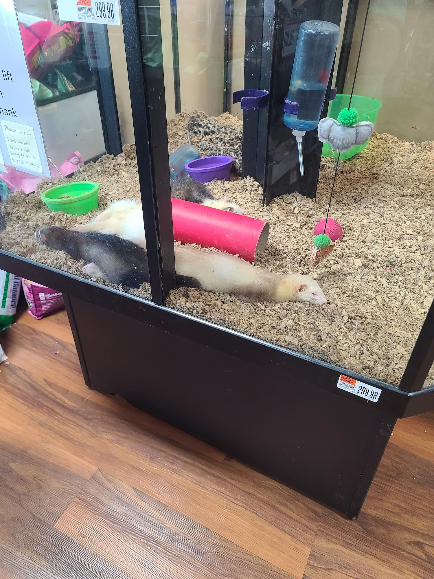 Pet Supplies Plus Brownsburg Brownsburg