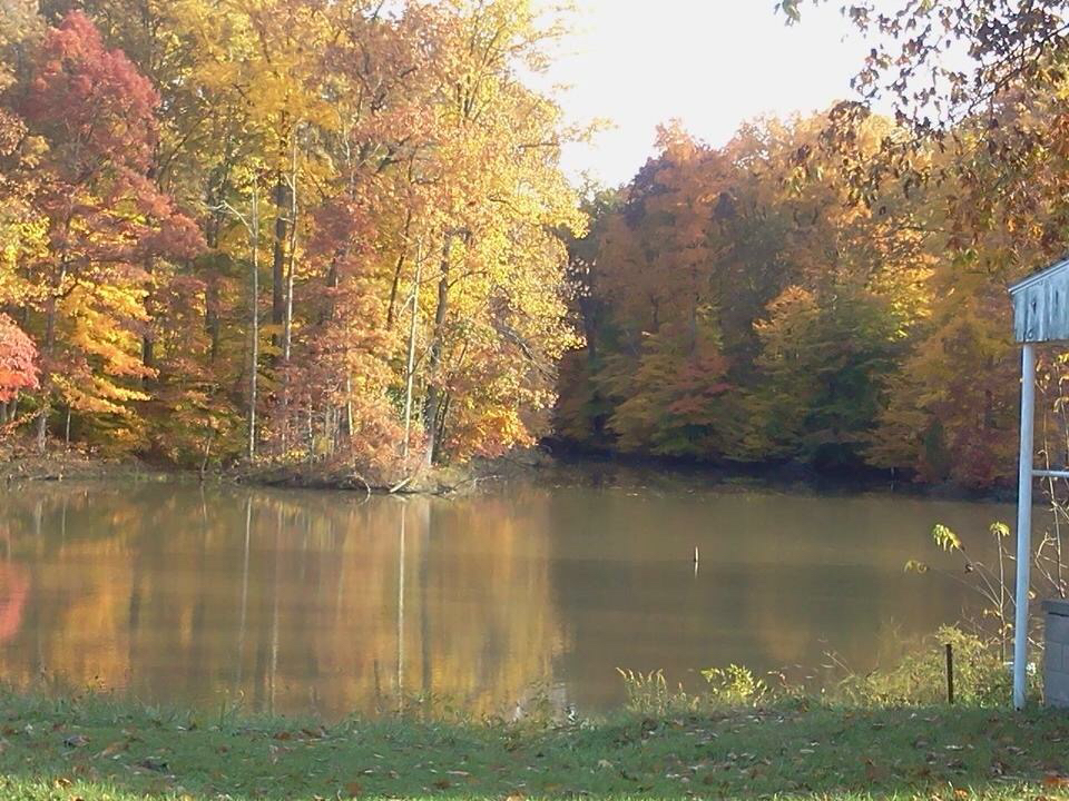 Bruceville Rod & Gun Club Menu