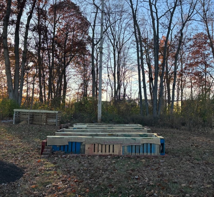 Indie Coffee Roasters Carmel