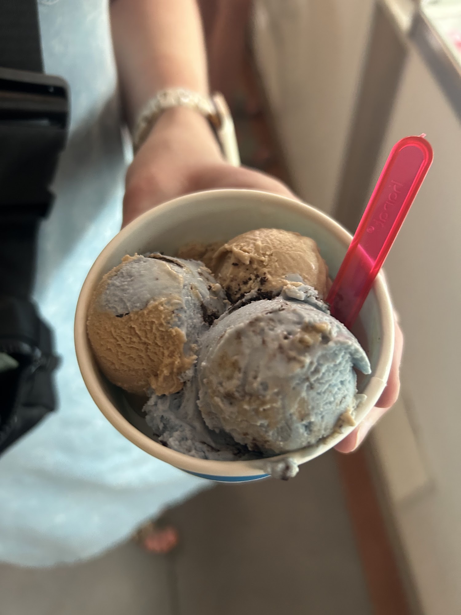 Dog Days Ice Cream Parlor Chesterton