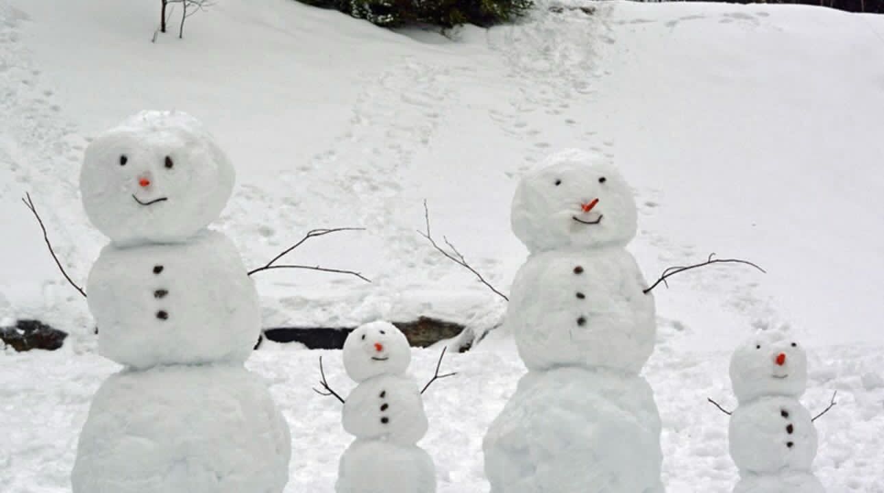 Root & Bone - Chesterton Chesterton