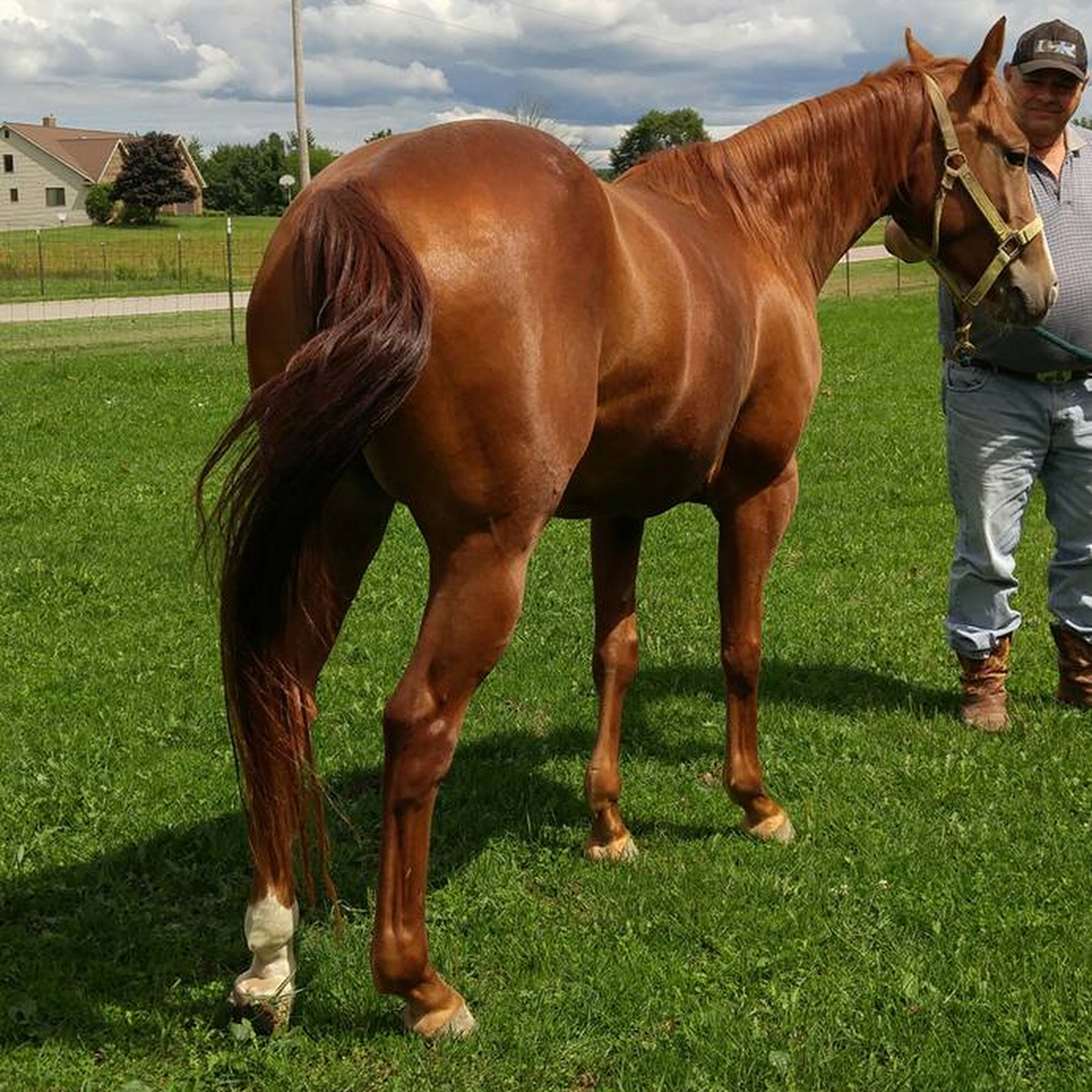 Willow Ranch Churubusco