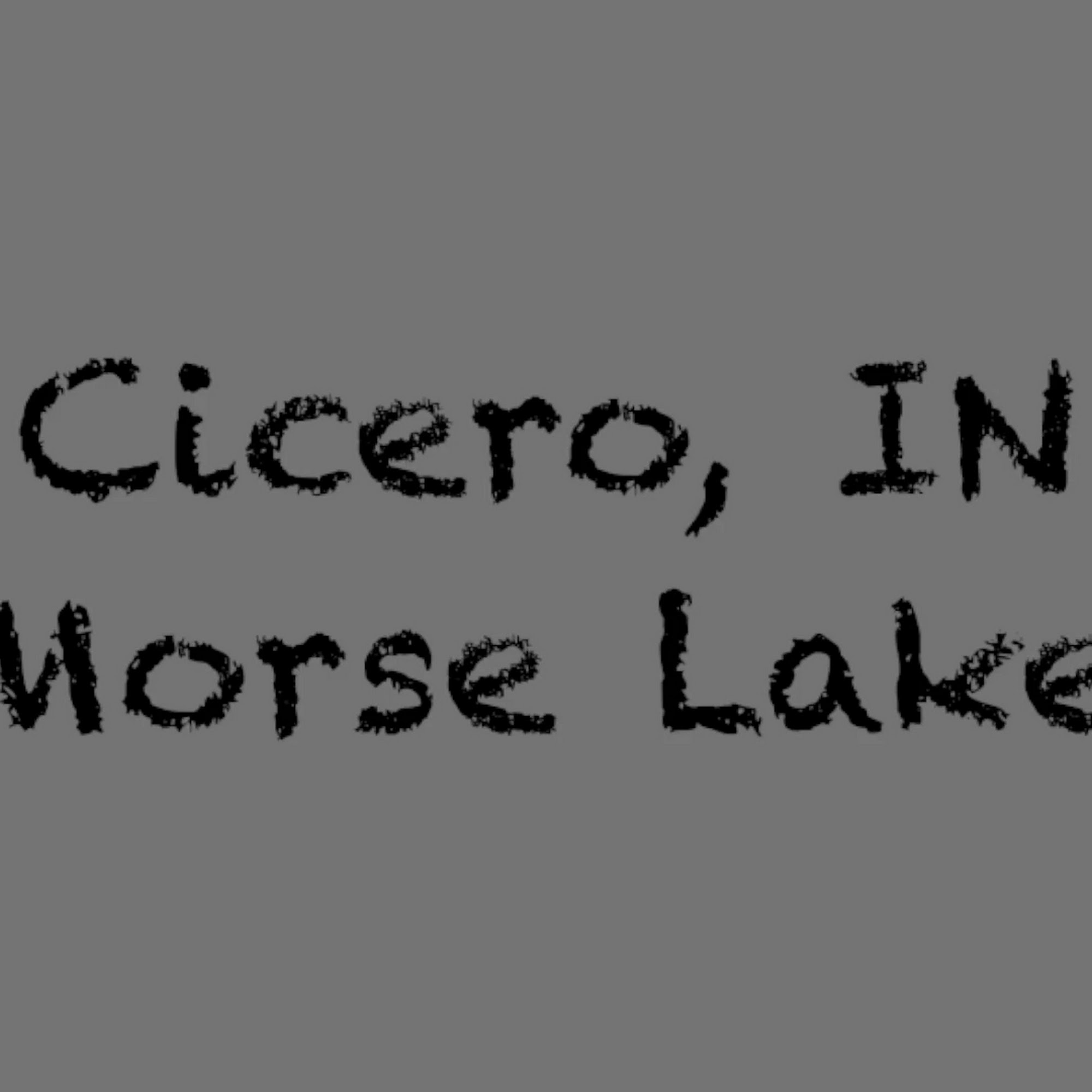 Boathouse Kitchen & Swan Dive Cicero