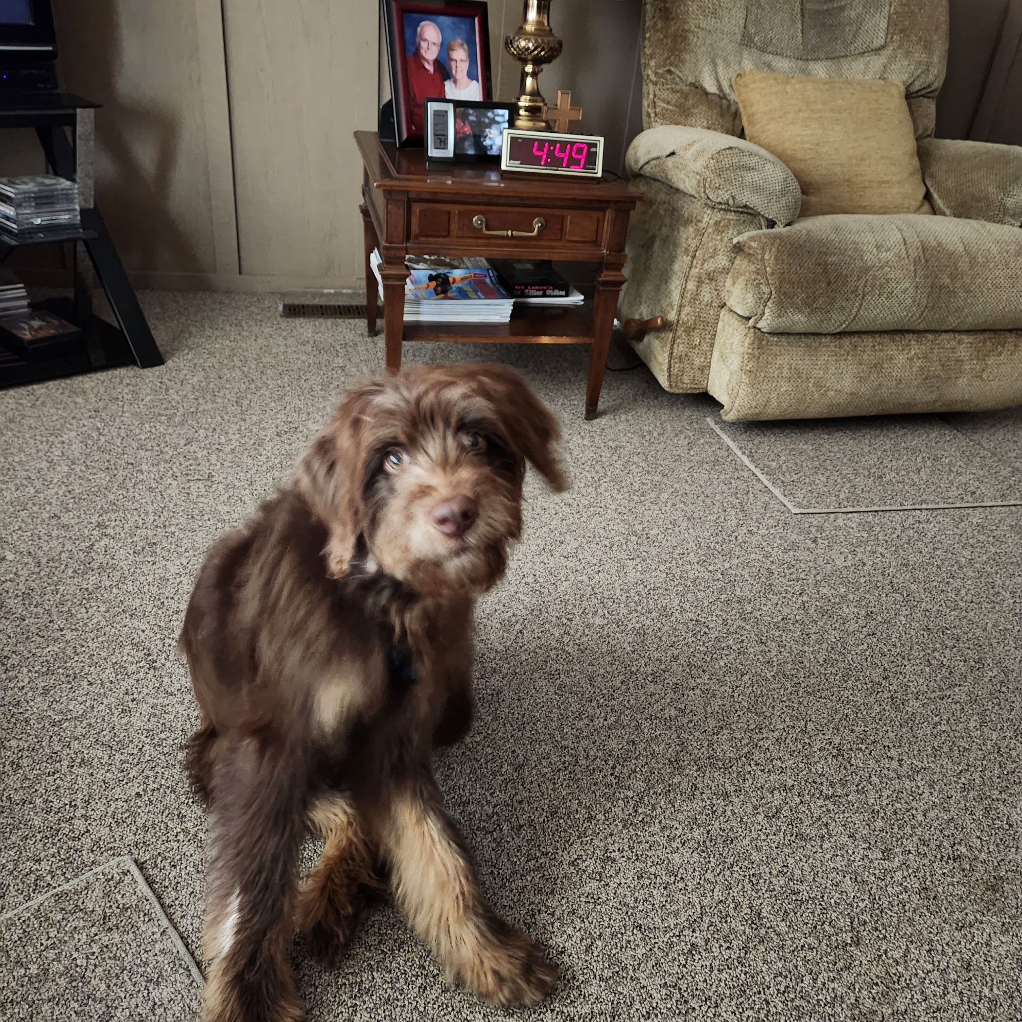 Eel River Veterinary Clinic Columbia City