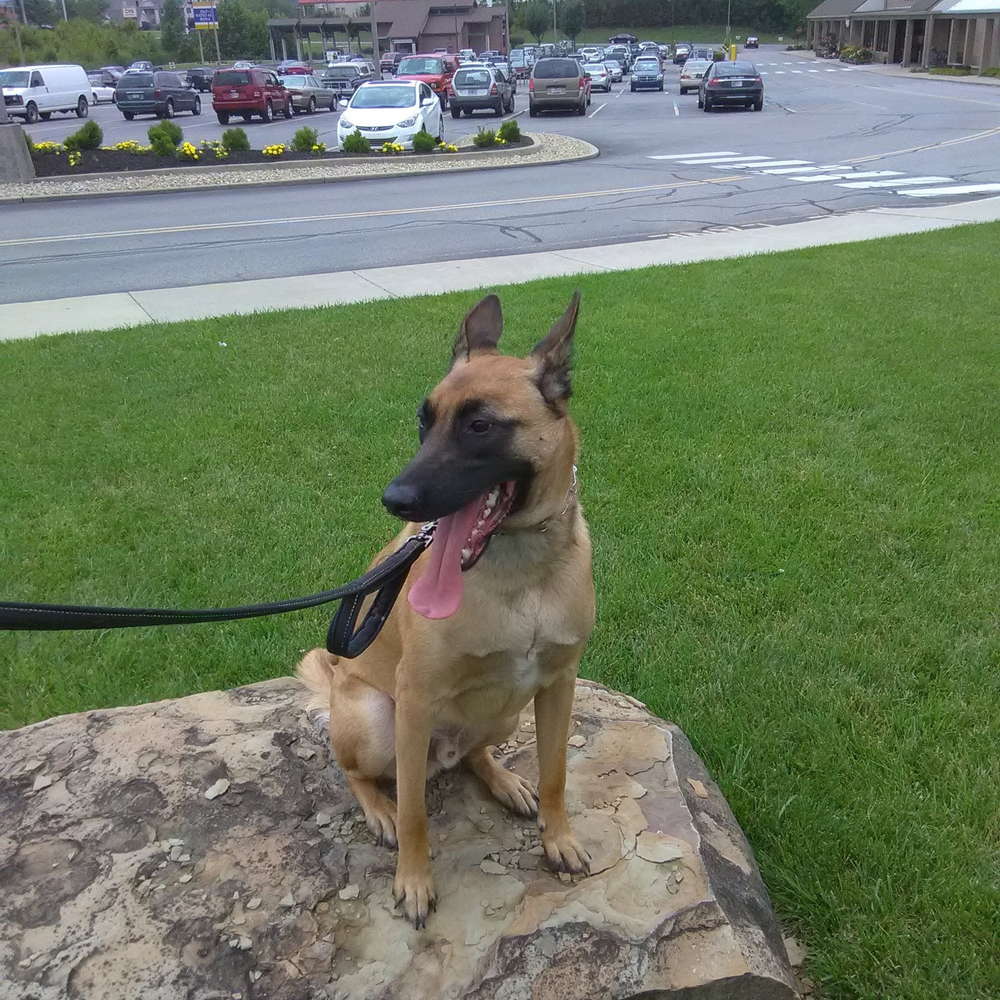 Hope Veterinary Clinic West Columbus