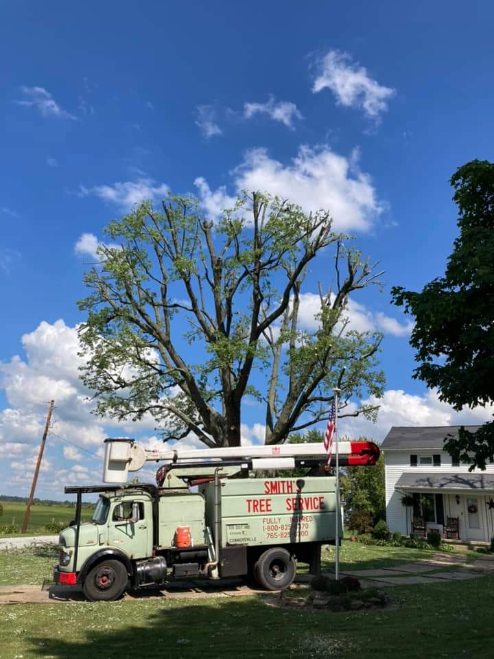 Smith's Tree Service