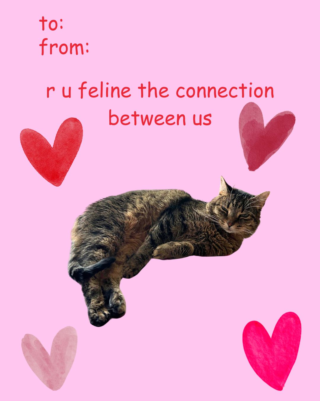 Feeders Pet Supply Corydon