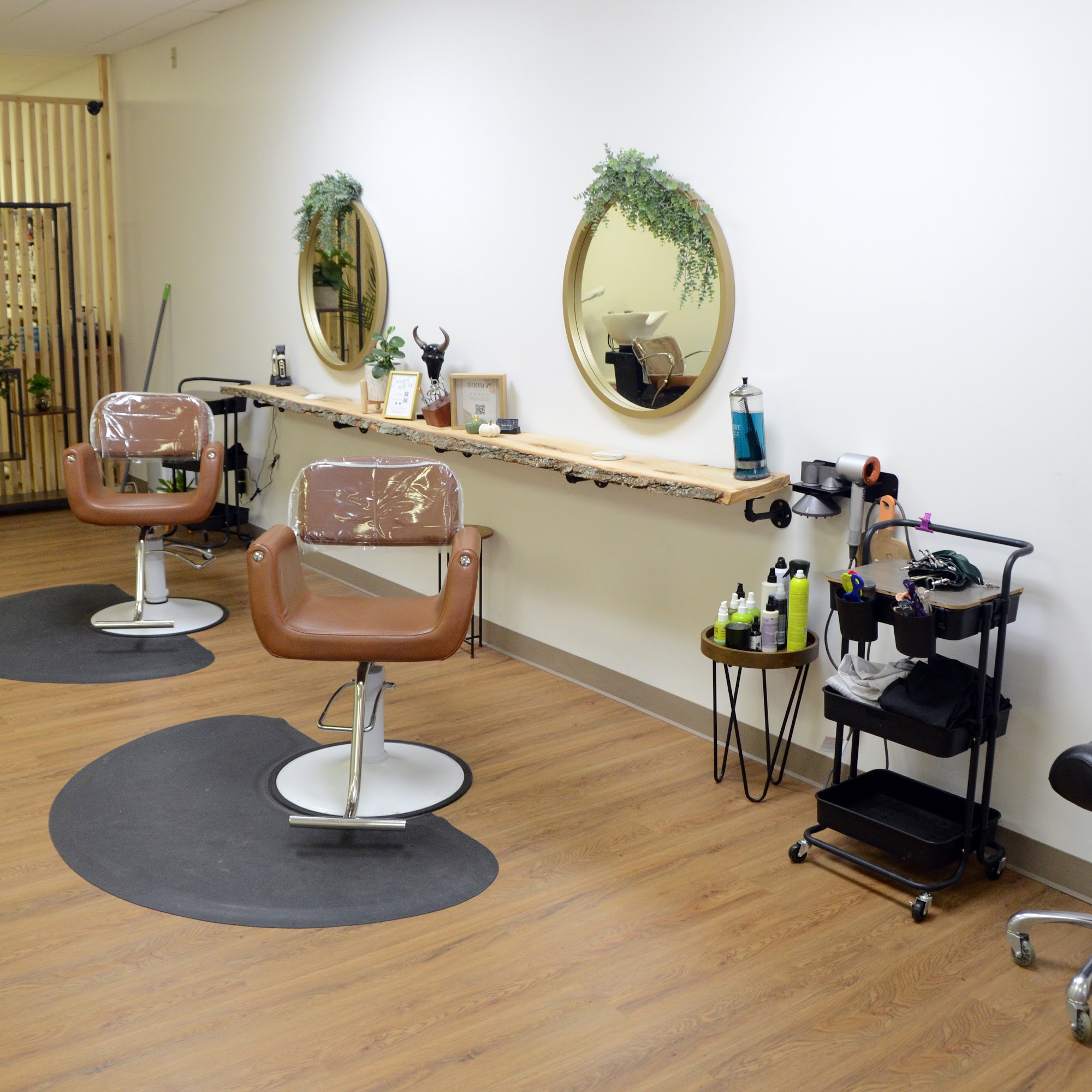 The Curl Saloon