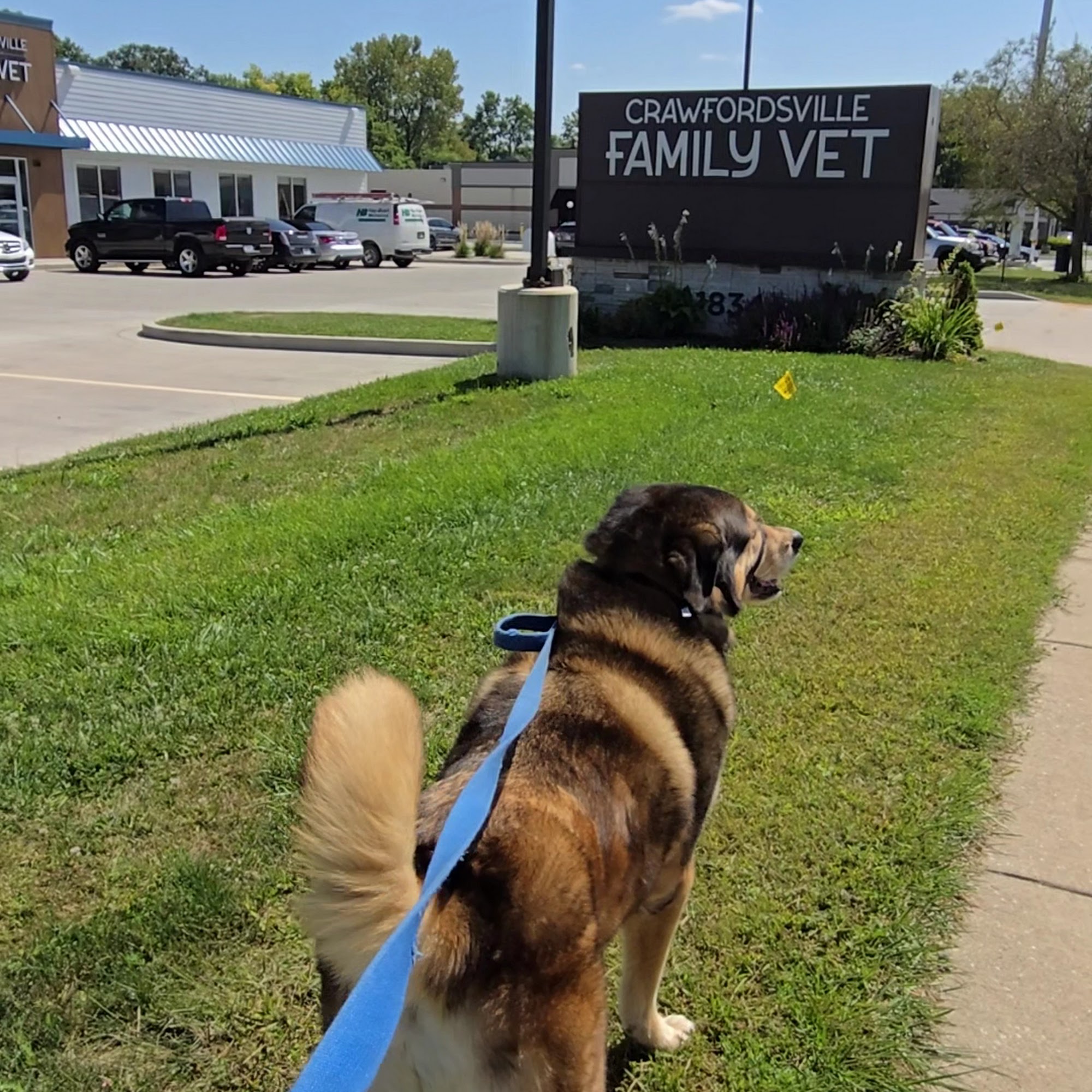 Crawfordsville Family Vet Crawfordsville