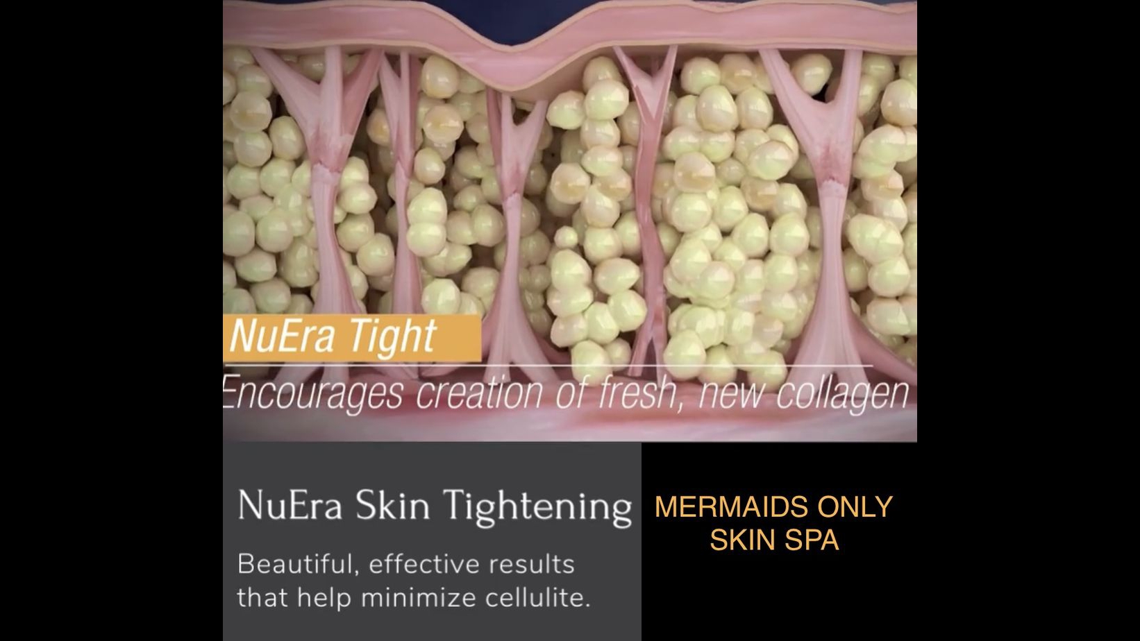 Mermaids Only 506 E Summit St B, Crown Point Indiana 46307