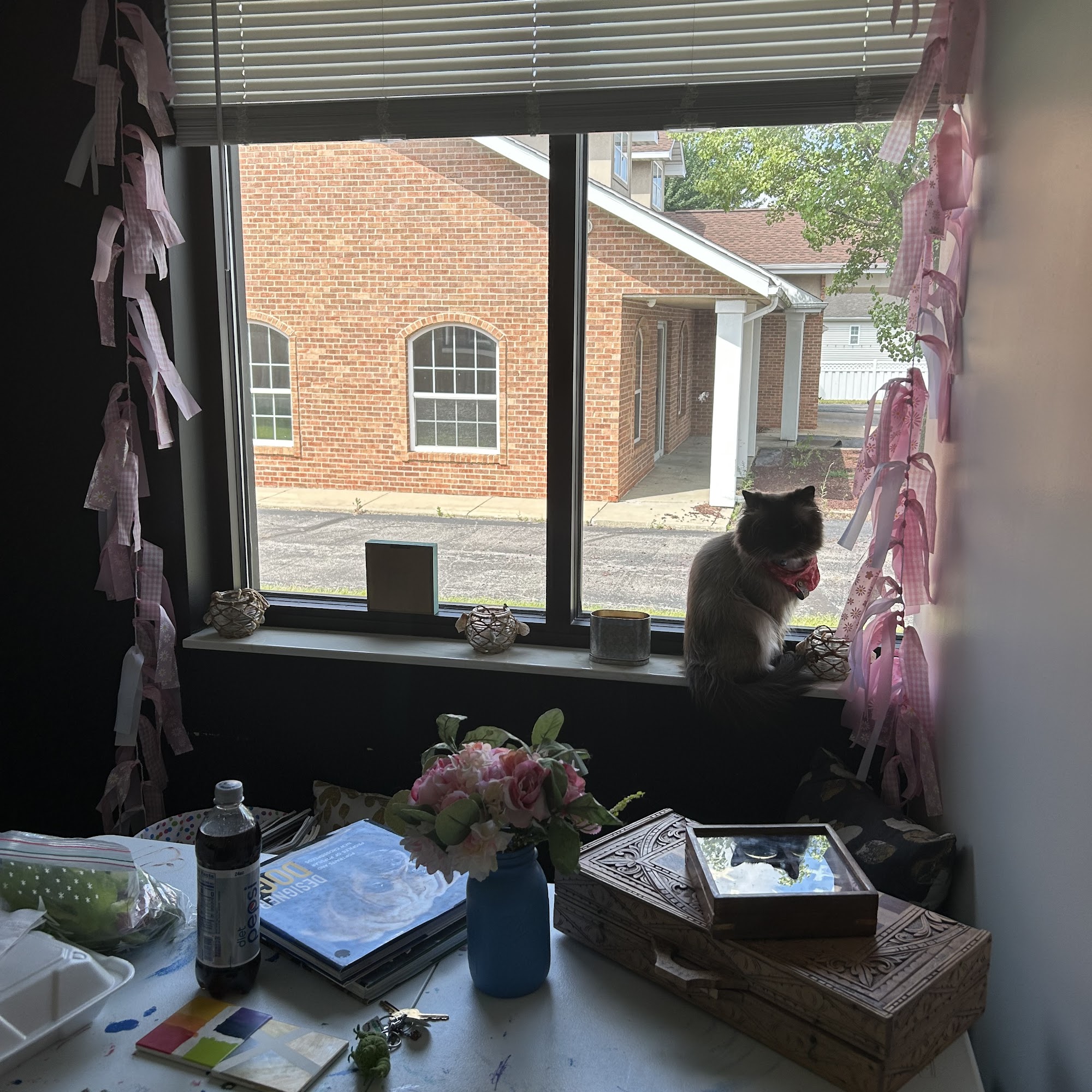 Paradise Pet Boutique Crown Point