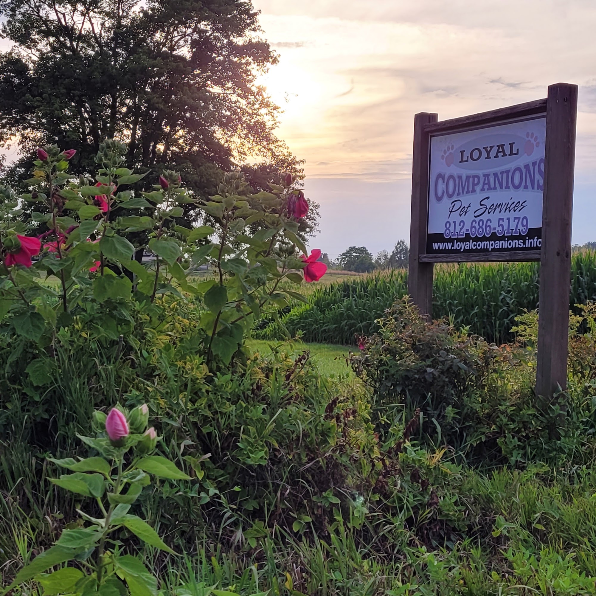 Loyal Companions Crematory Dale